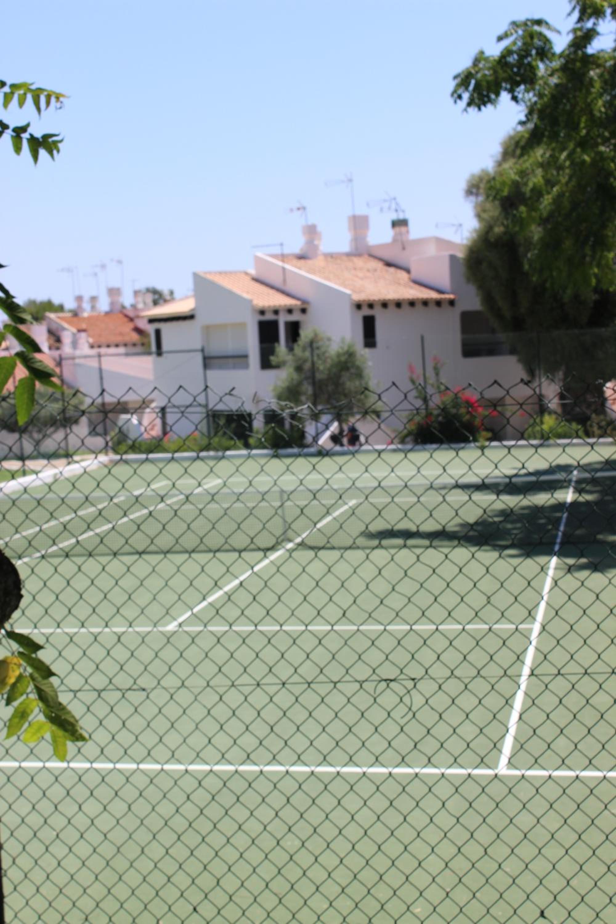 Photo 12