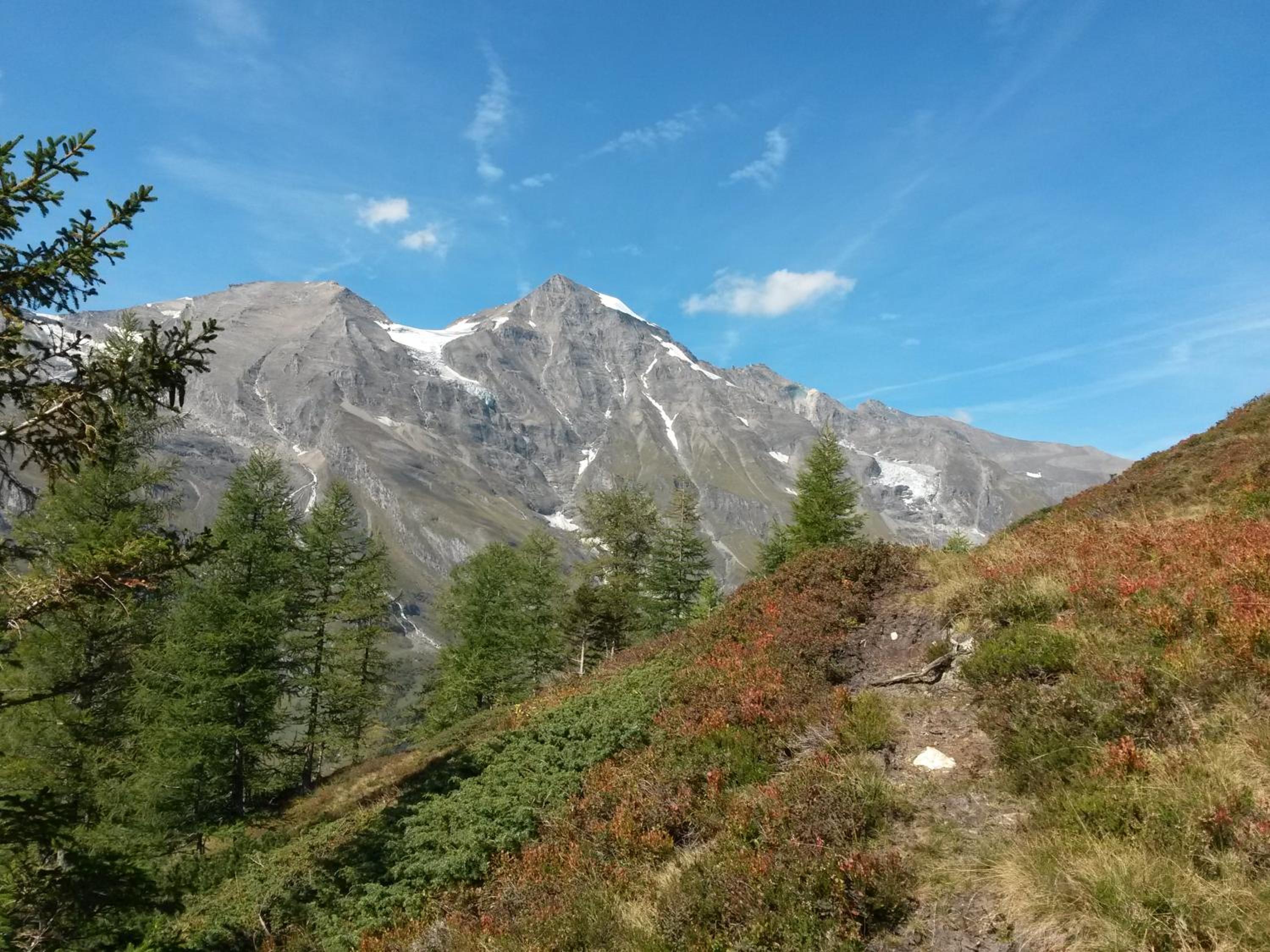 Apart-Pension Oberreiter