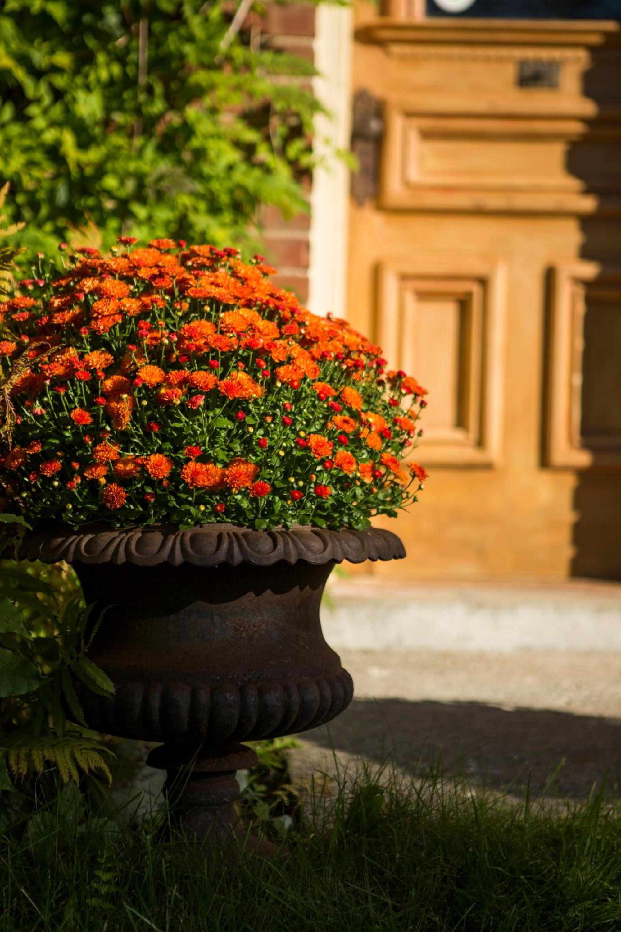Foxingham Farm Bed & Breakfast