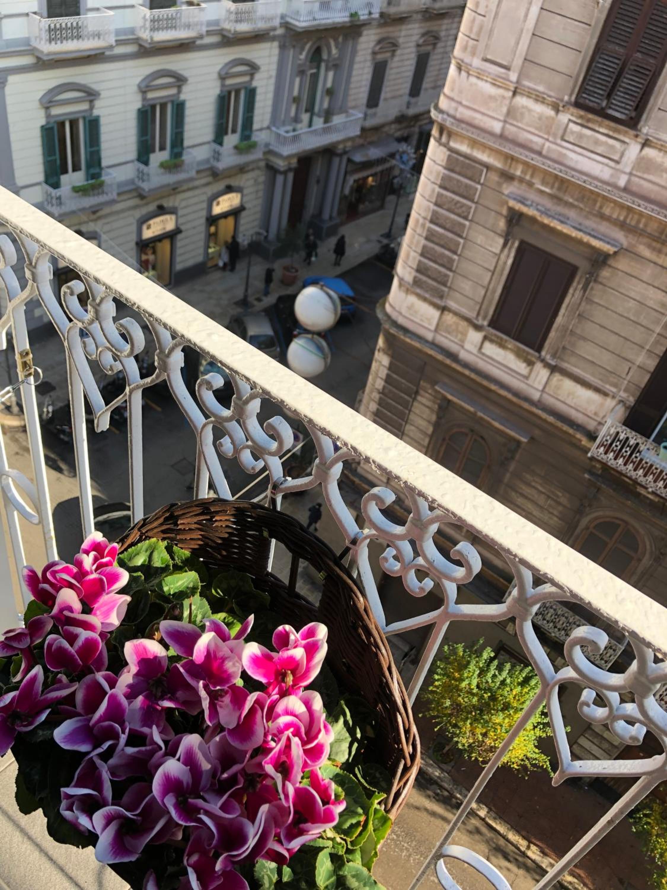 Petite Maison TA photo 3