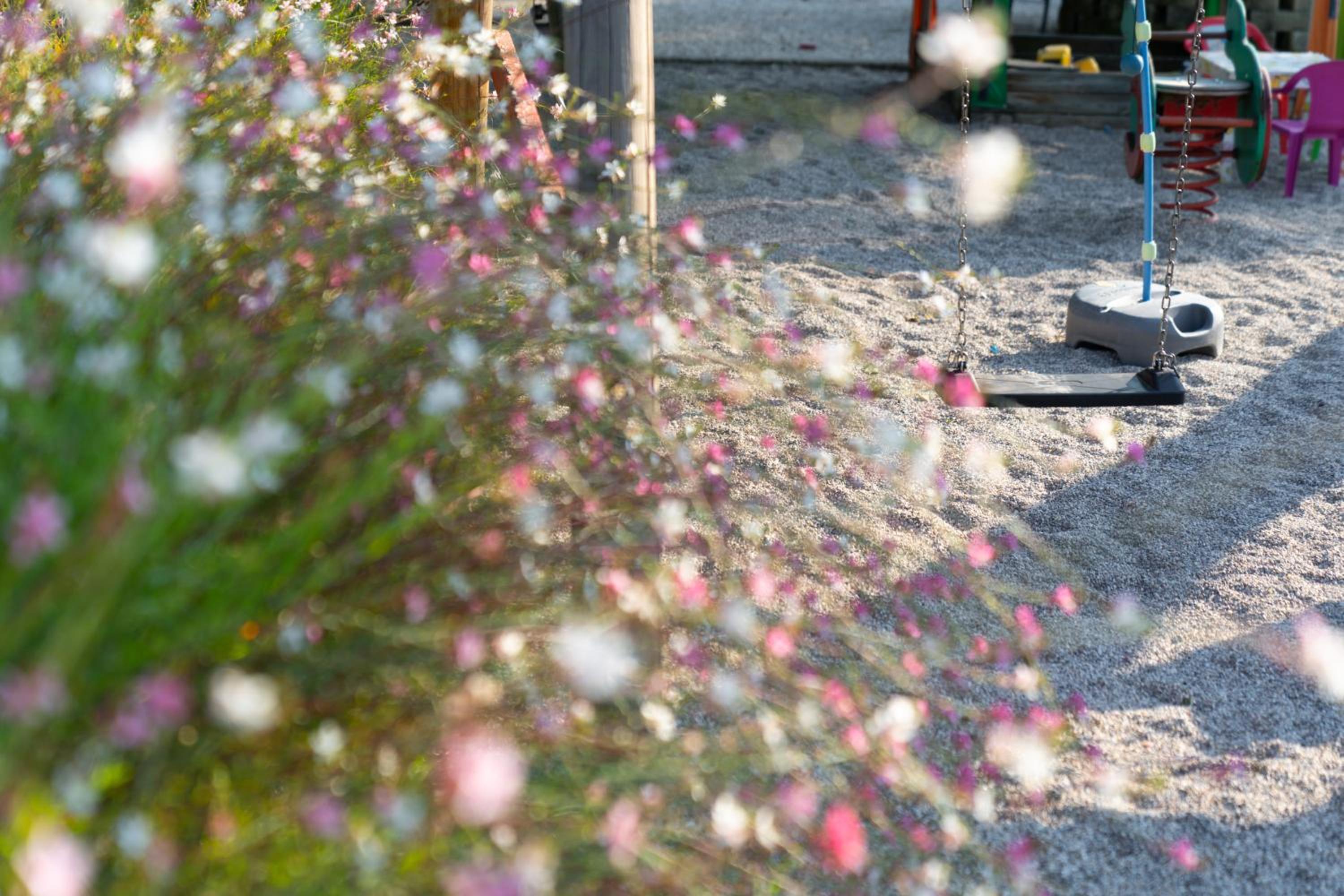 Agriturismo e Agricamping Le Nosare