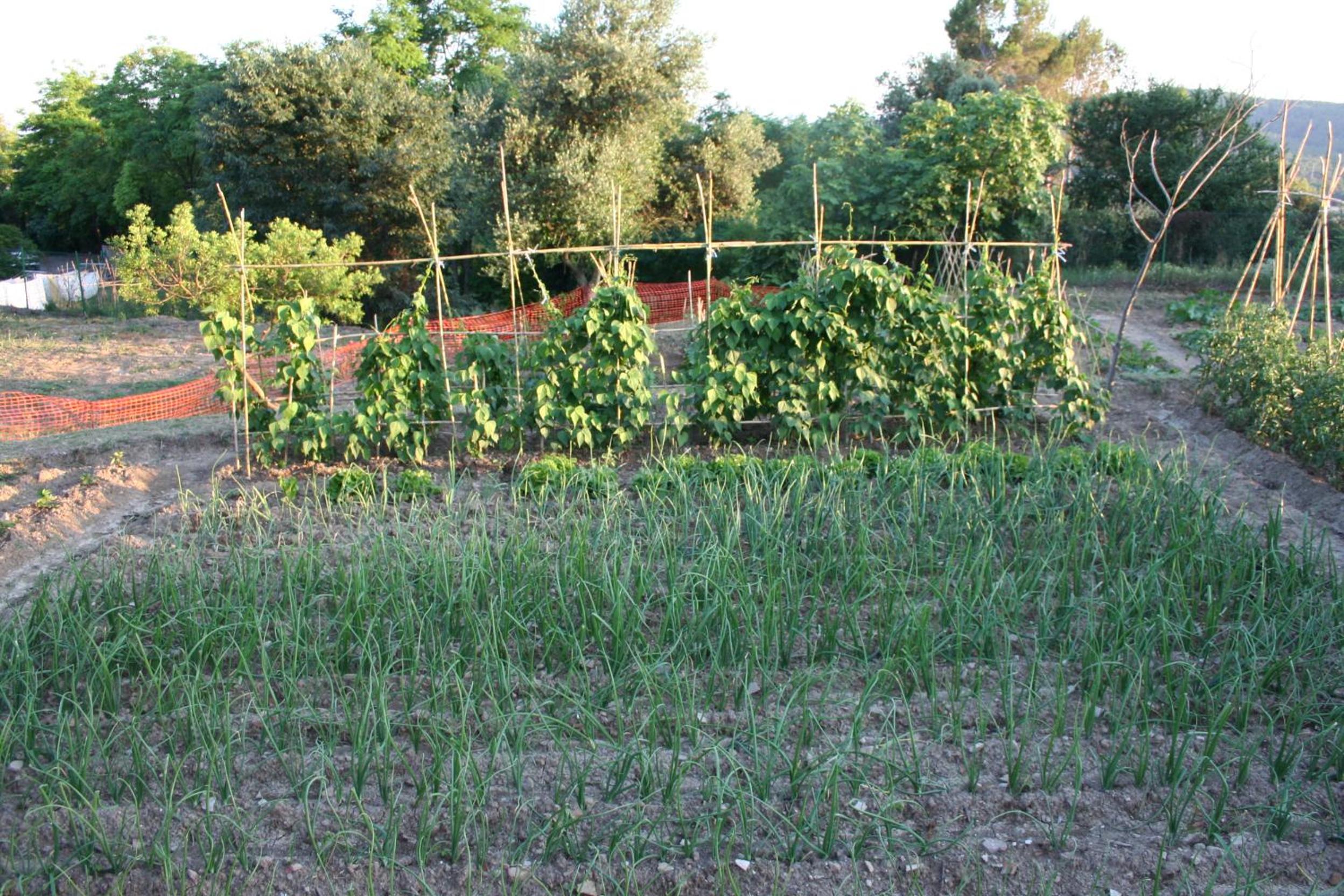 Mas Tulsà Casa Rural Girona