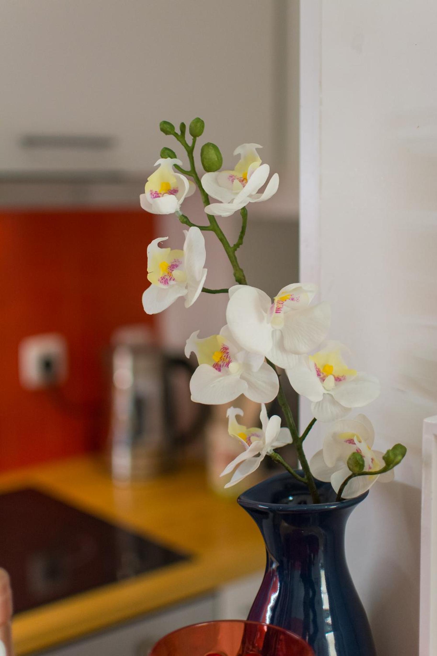 Allfado Apartments
