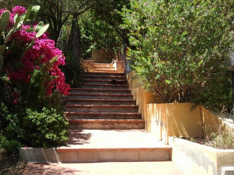 Photo 30