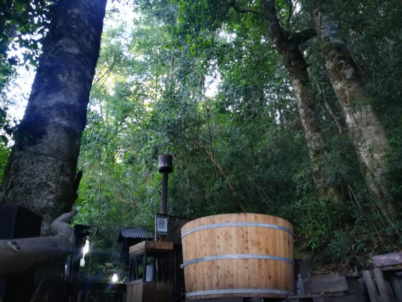 Cabañas Aliwen Panguipulli