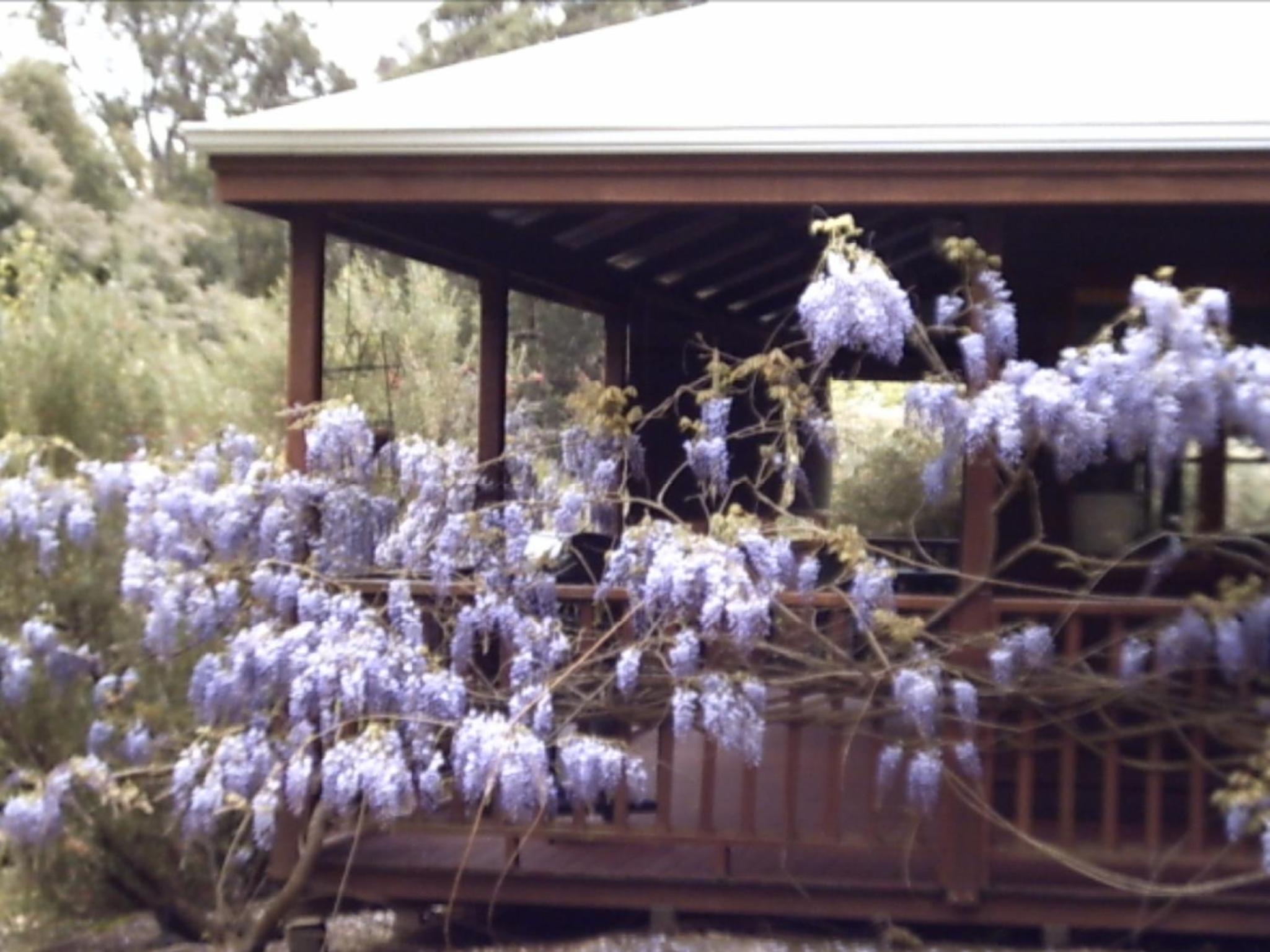 Redgum Hill Country Retreat