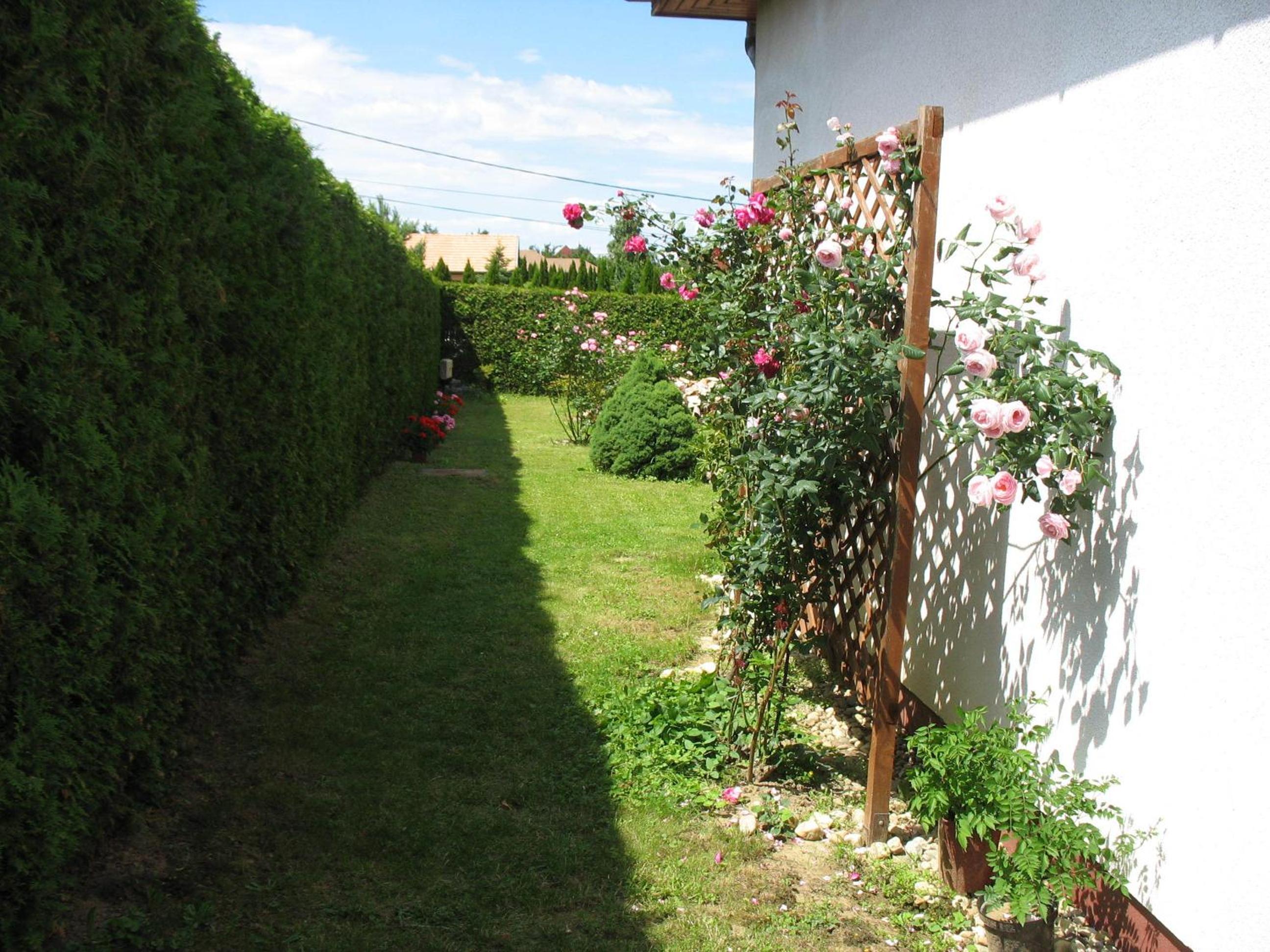 Photo 34