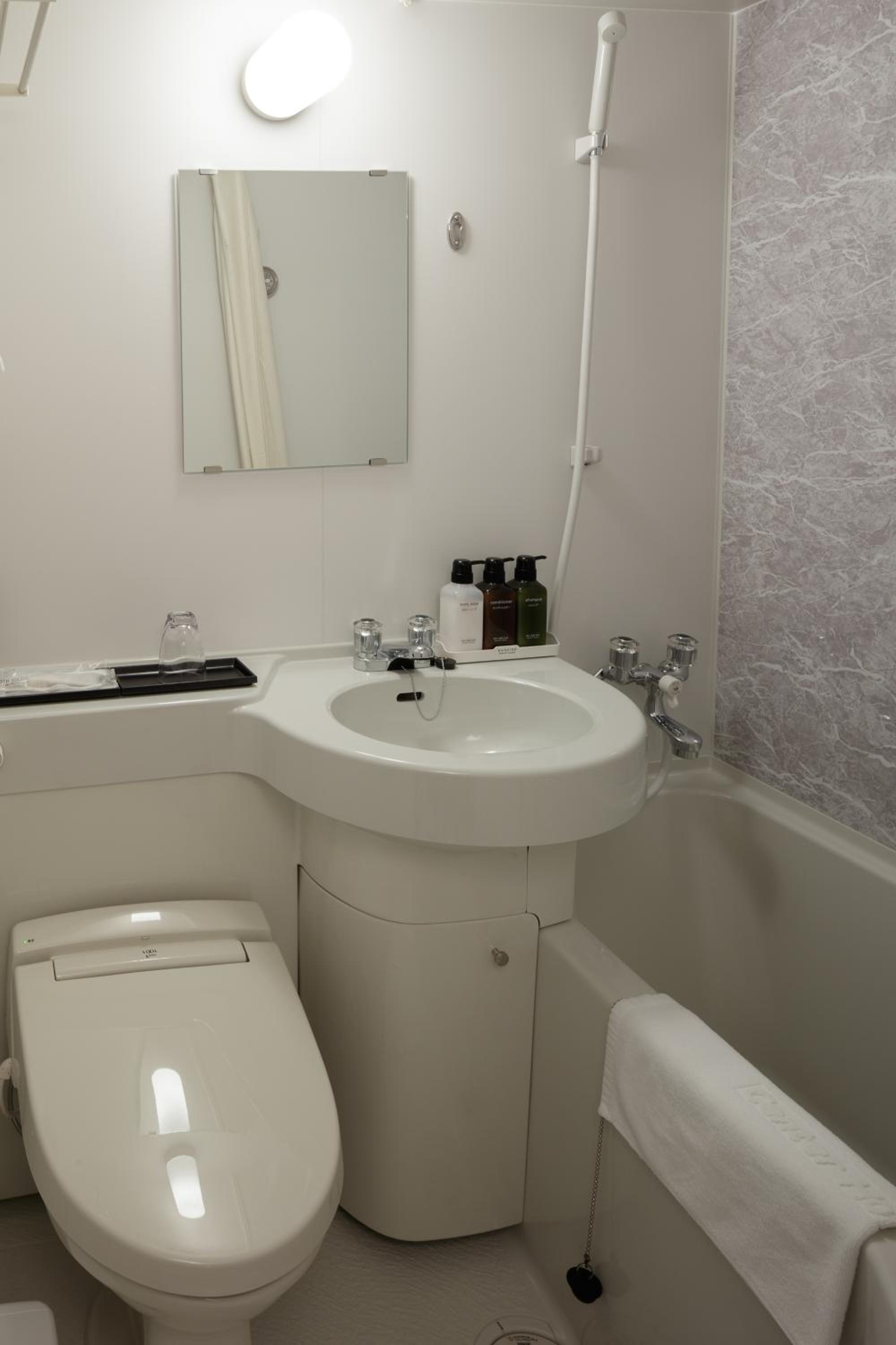 Center Hotel Narita2 R51