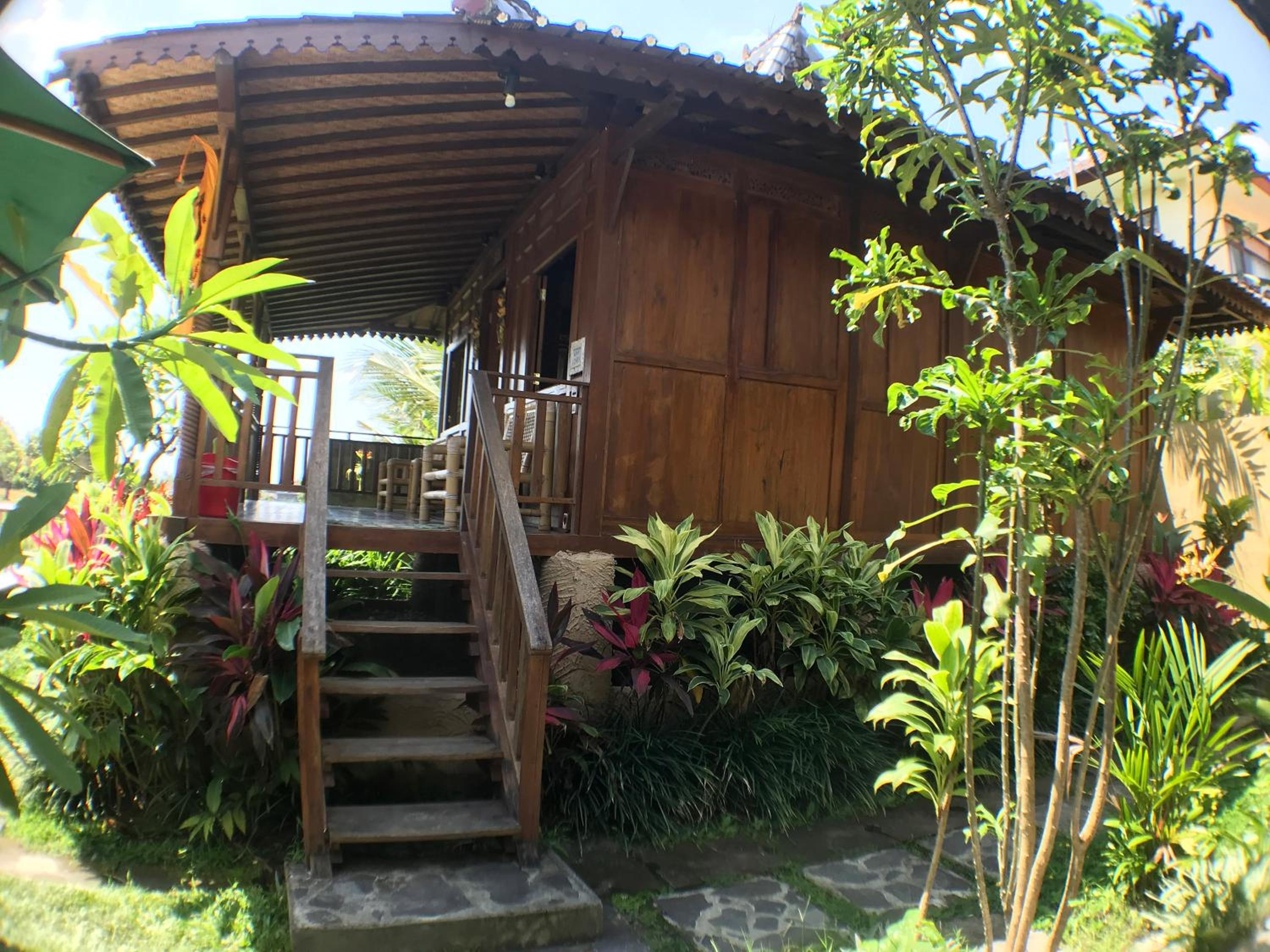 Photo 45
