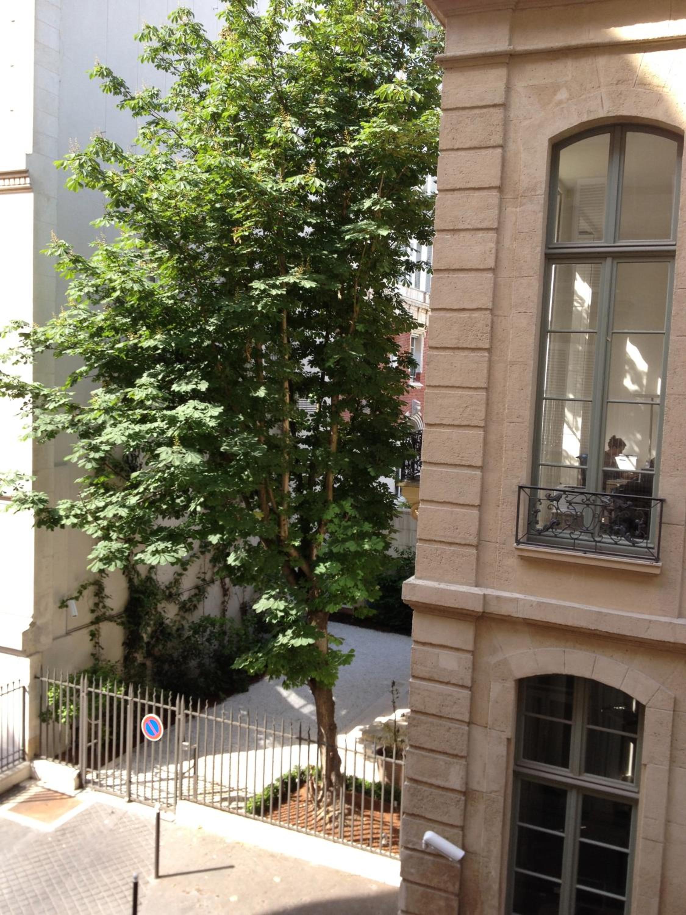 Appartement Cherche-Midi