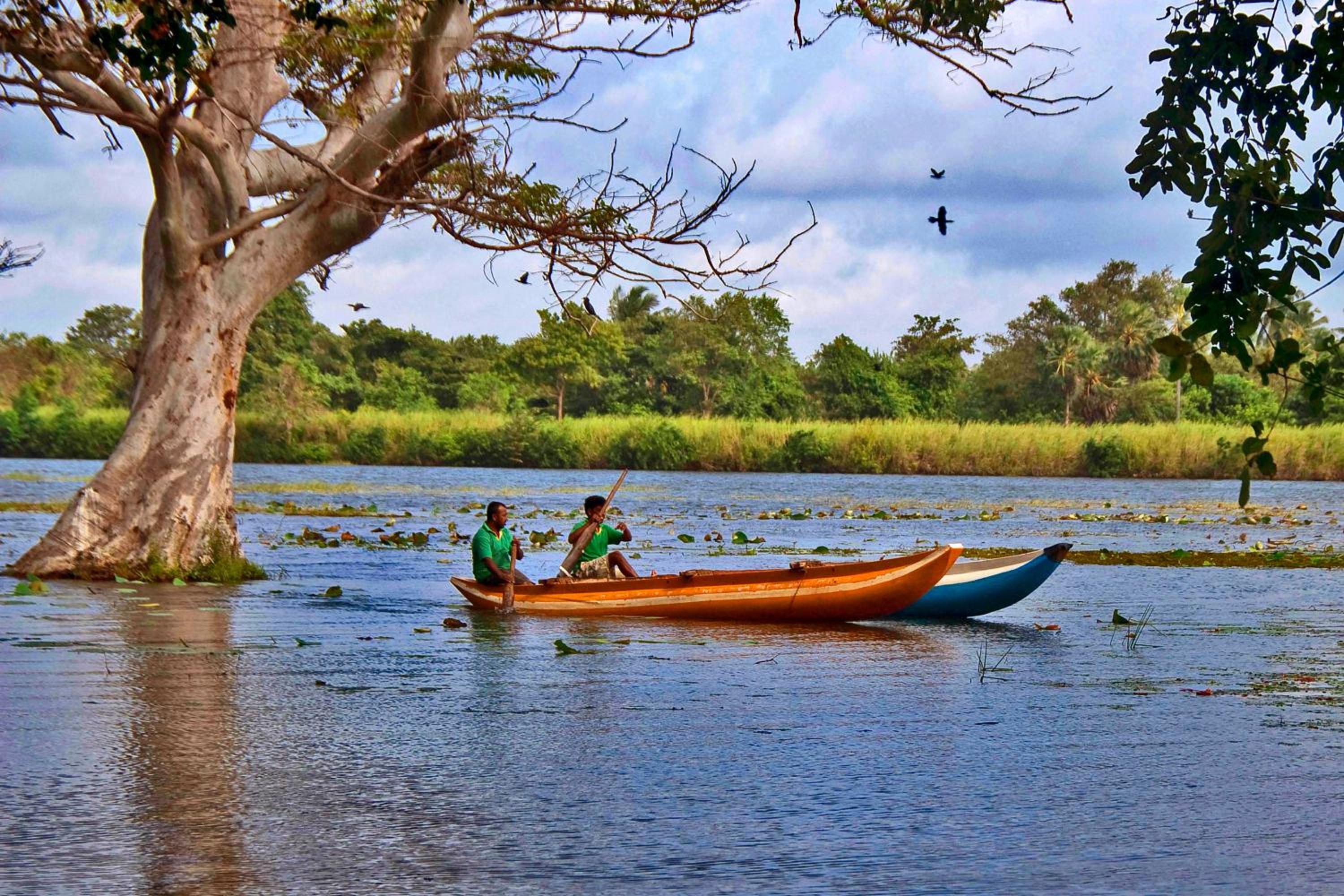 Sigiri Mango Garden Eco Resort view 5