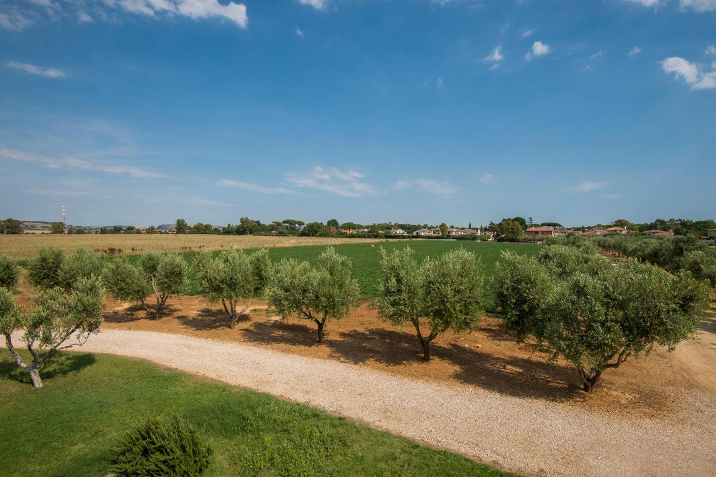 Villa Marina Velca - Property Image 24