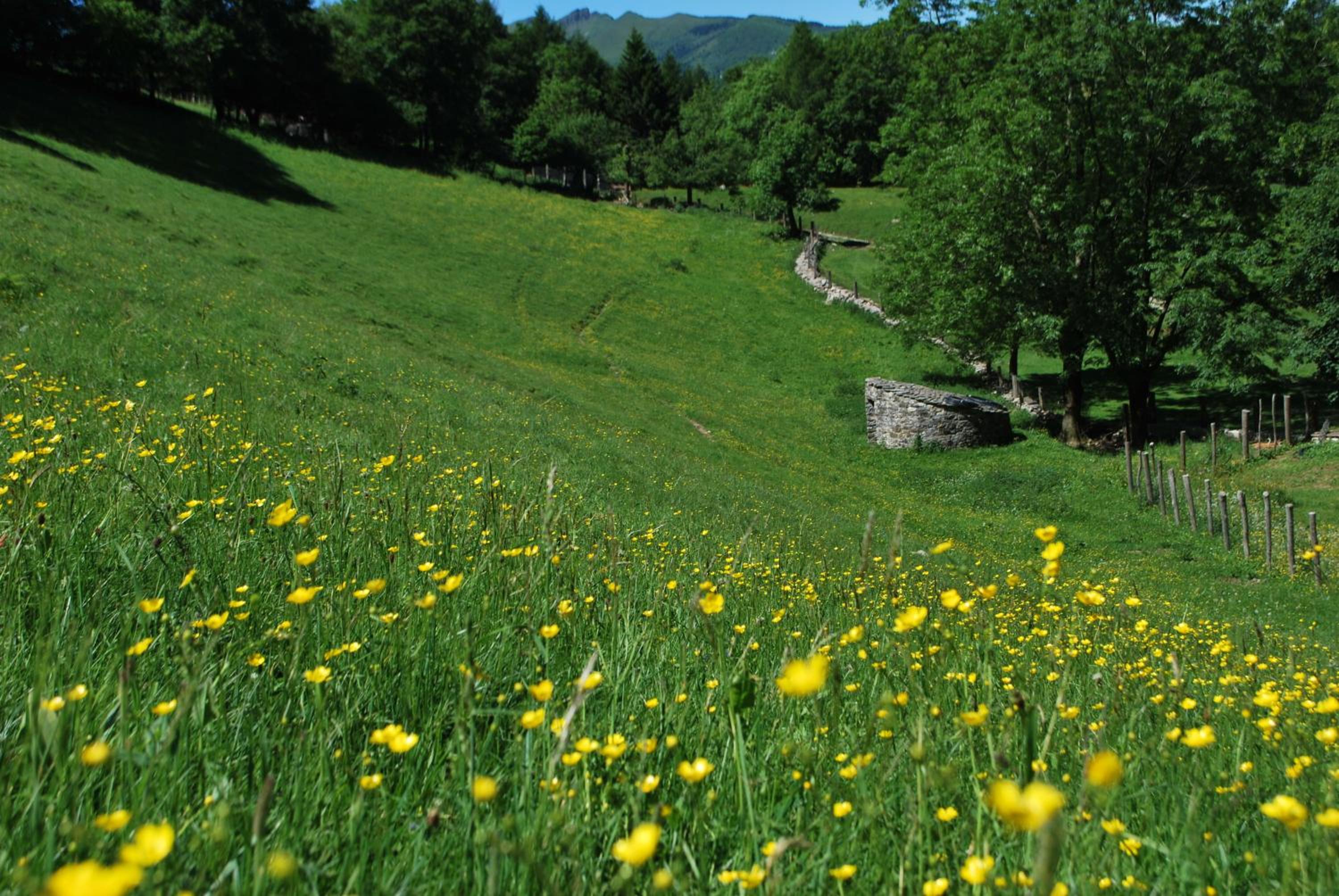 Agriturismo Le Radici