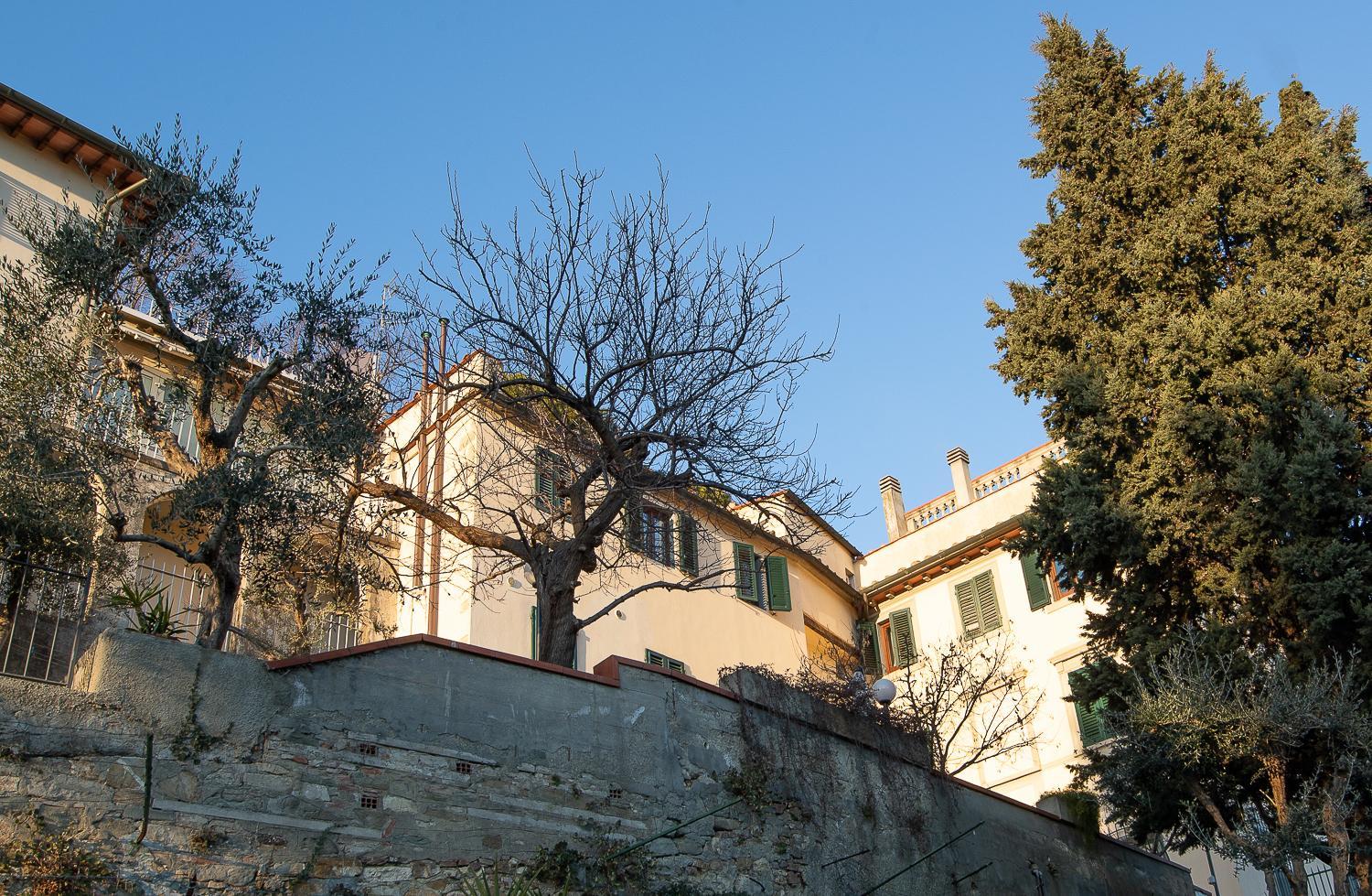 Photo 43