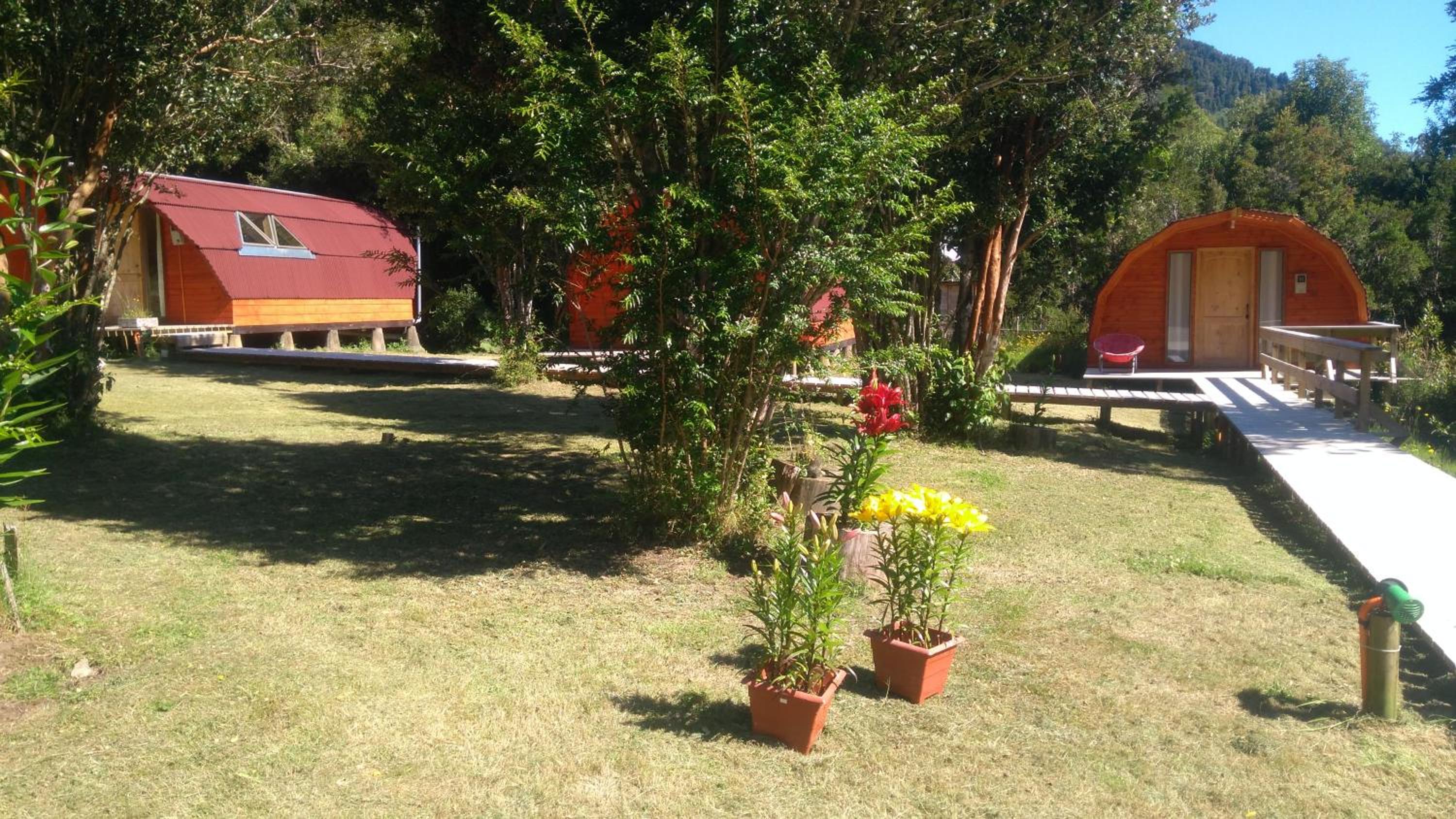 Photo 44