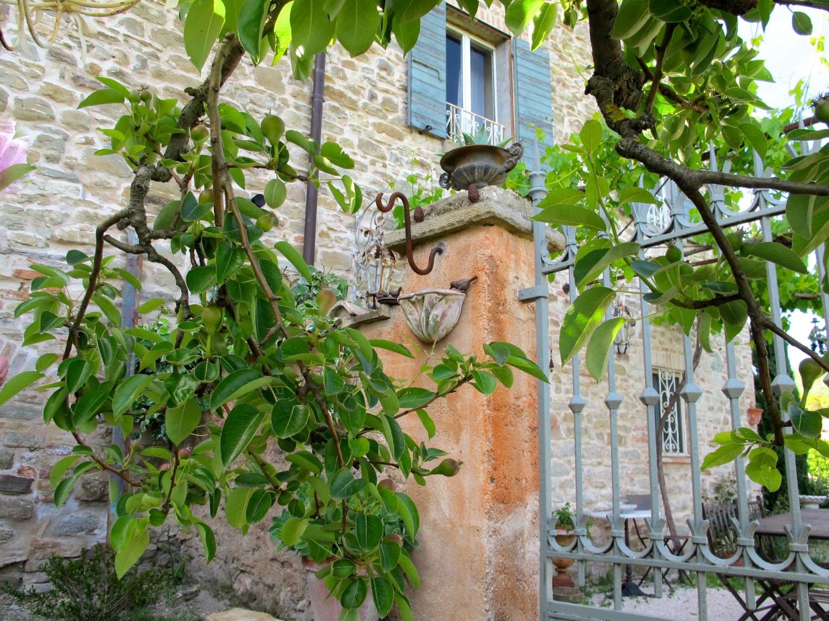 Photo 30