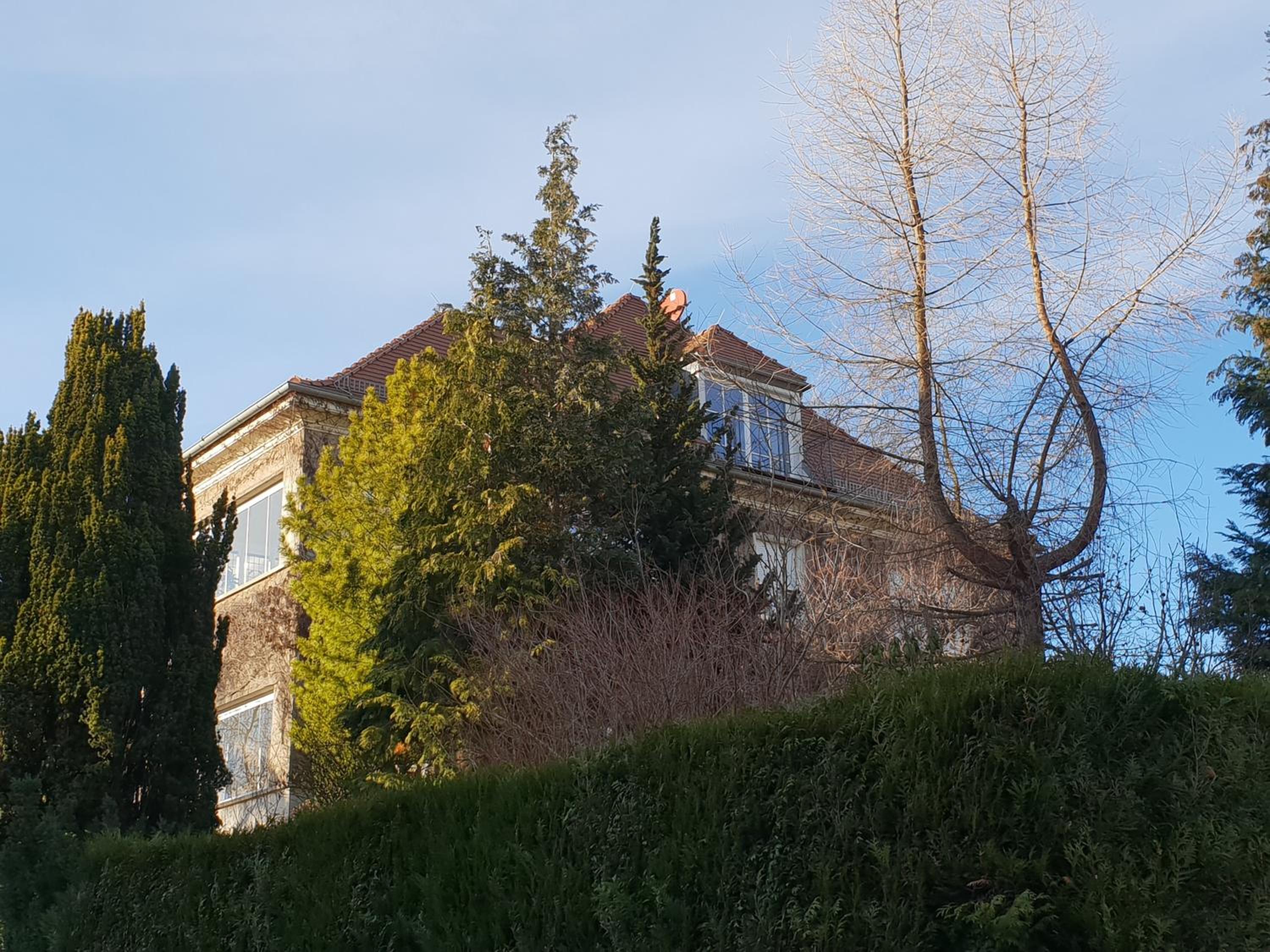 Photo 21