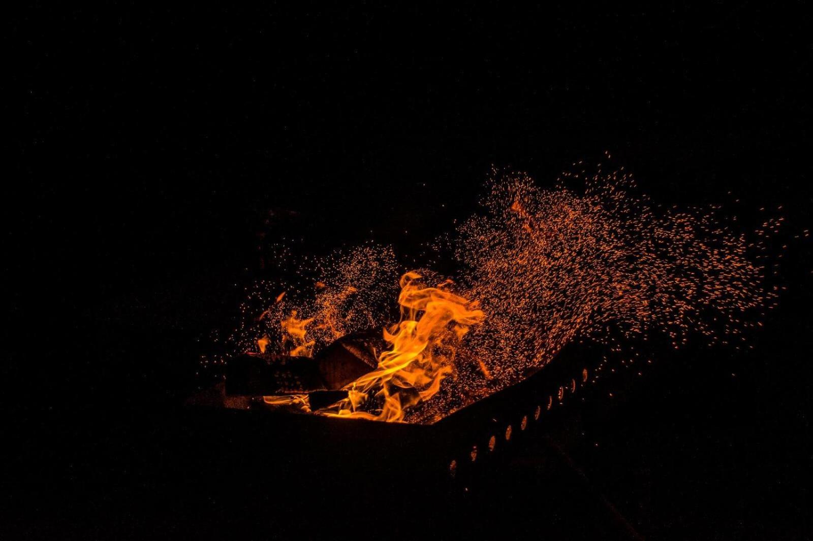 Photo 41