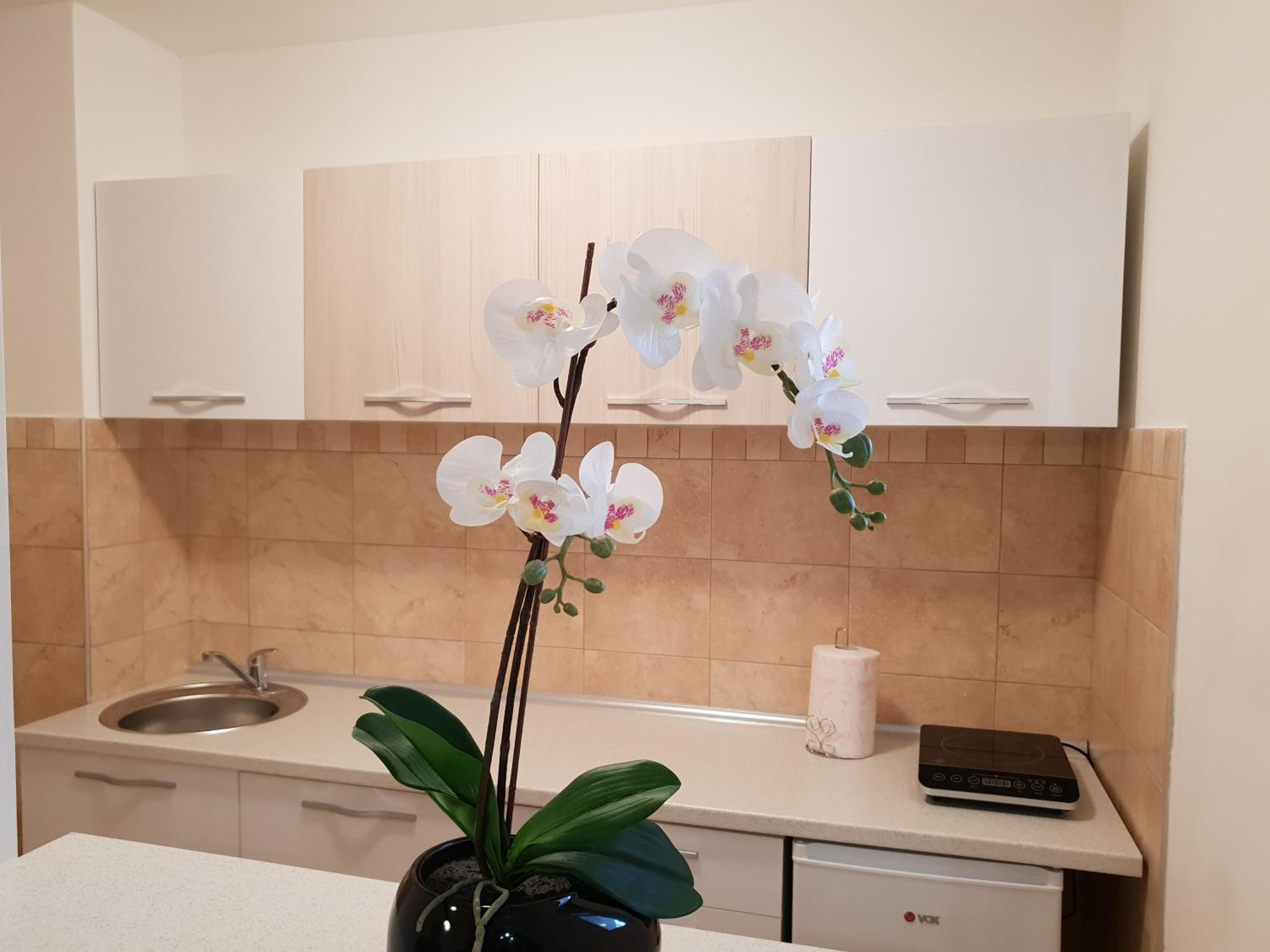 Apartman KEJ free parking