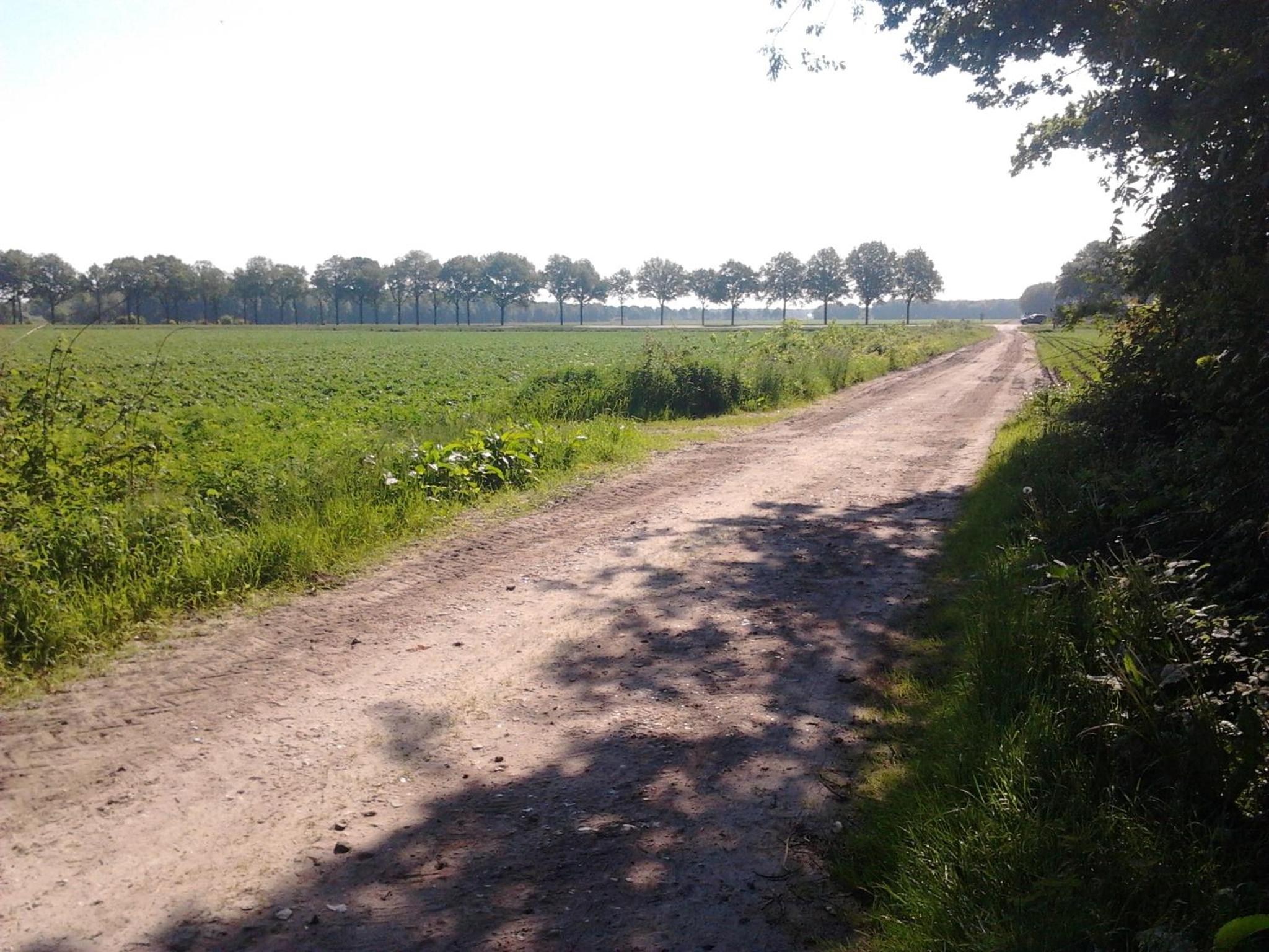 Photo 29