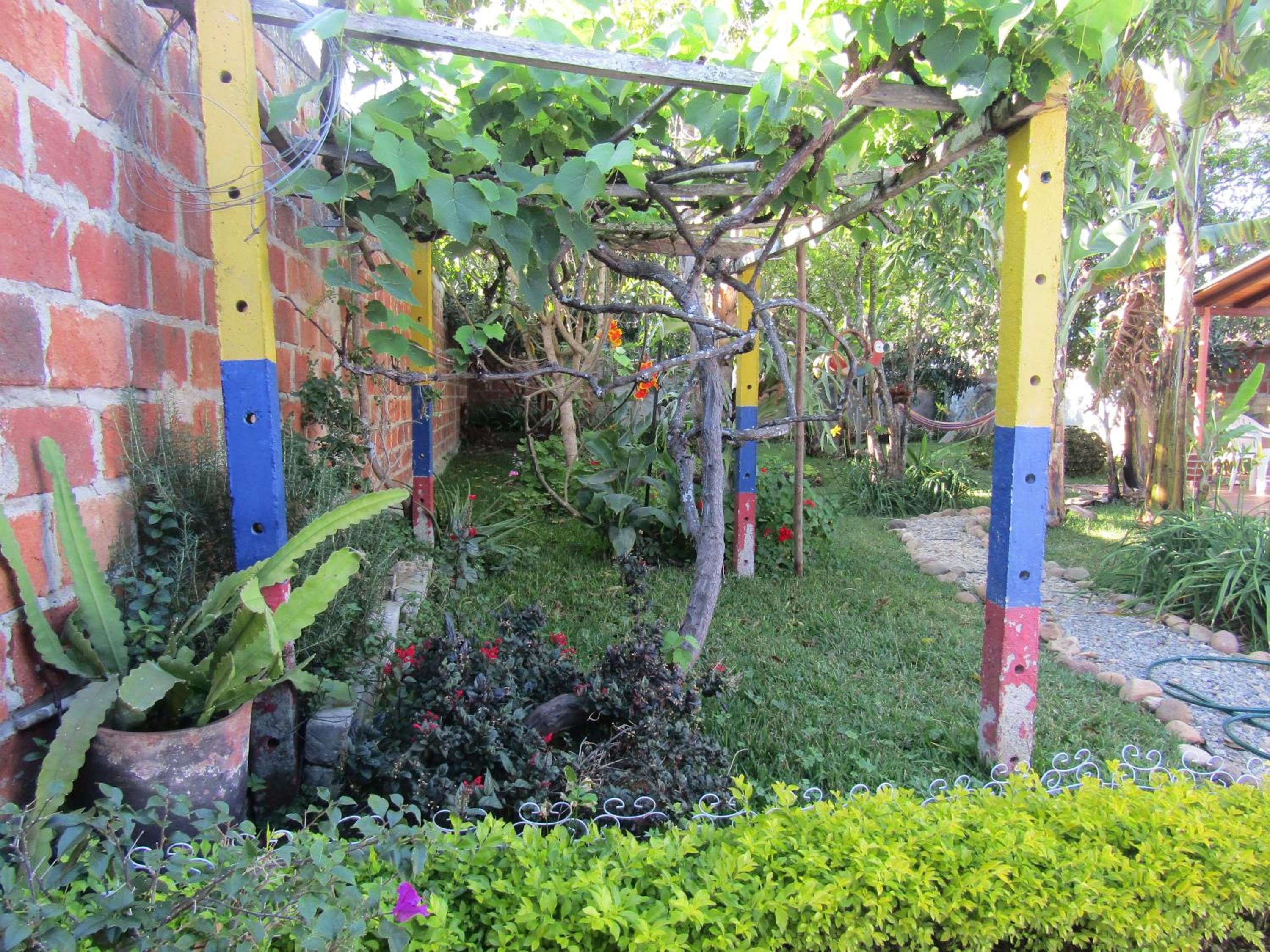 Photo 6