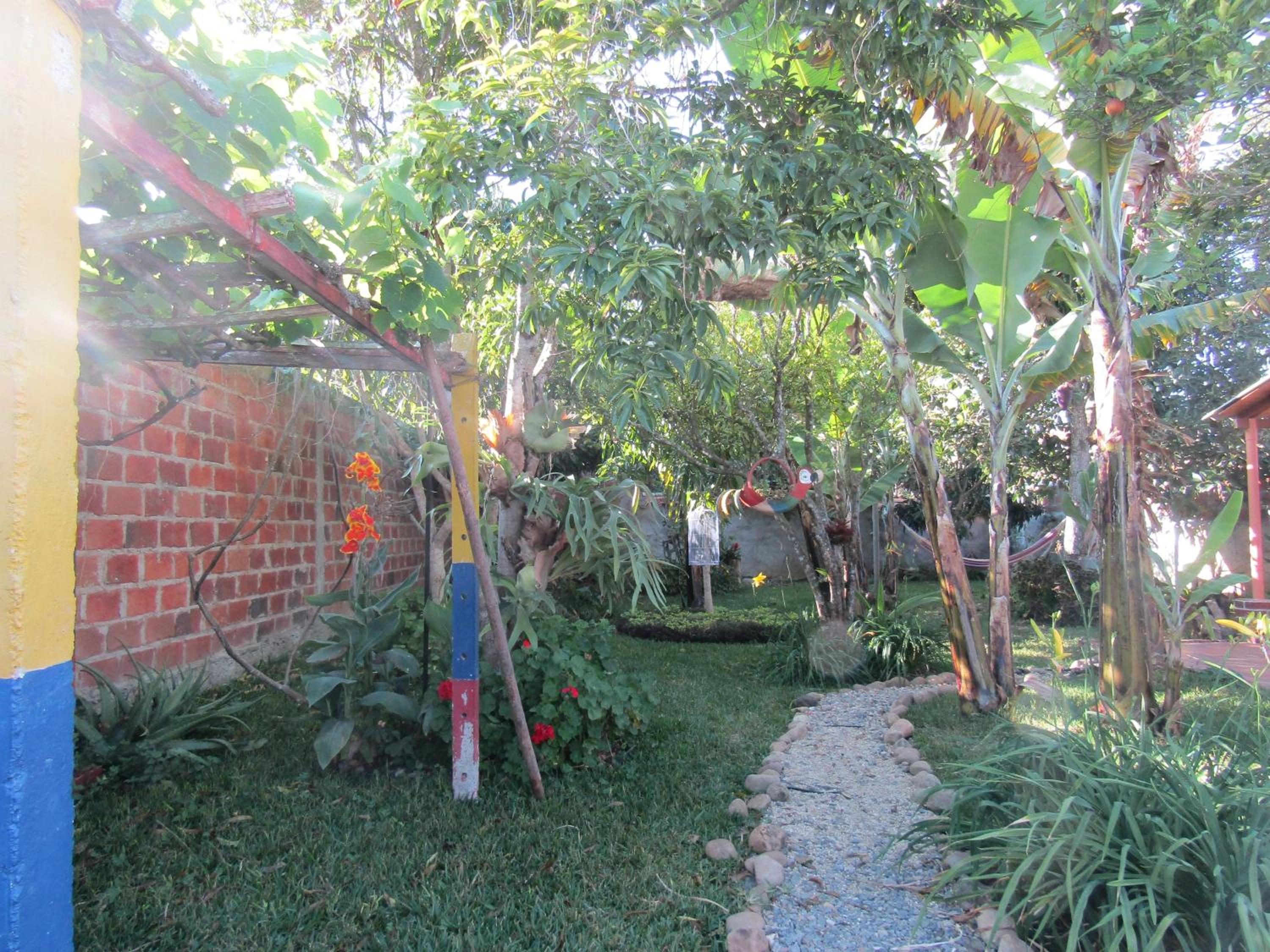 Photo 7
