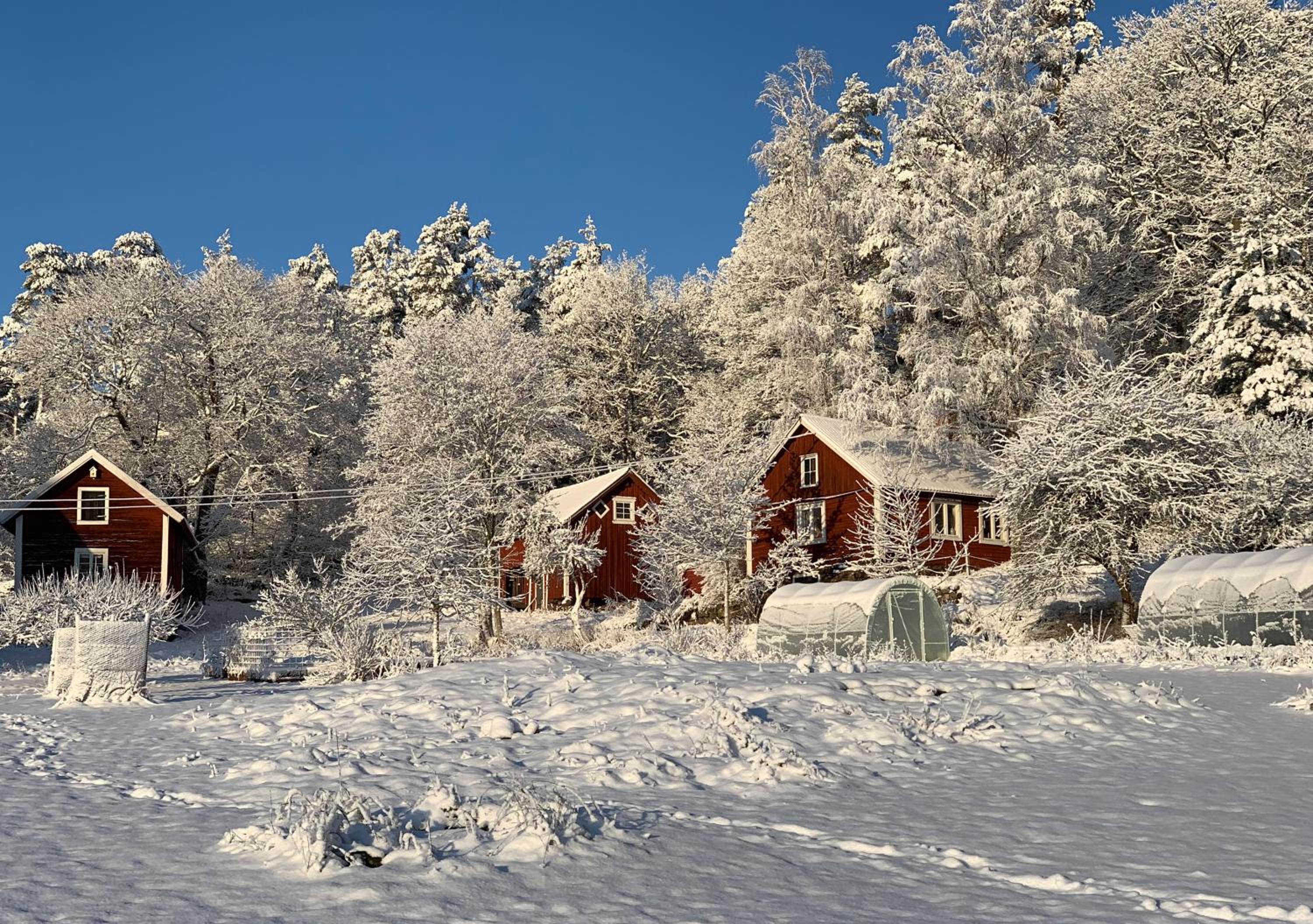 Traditional Swedish Torp Lake Access & Free Boat