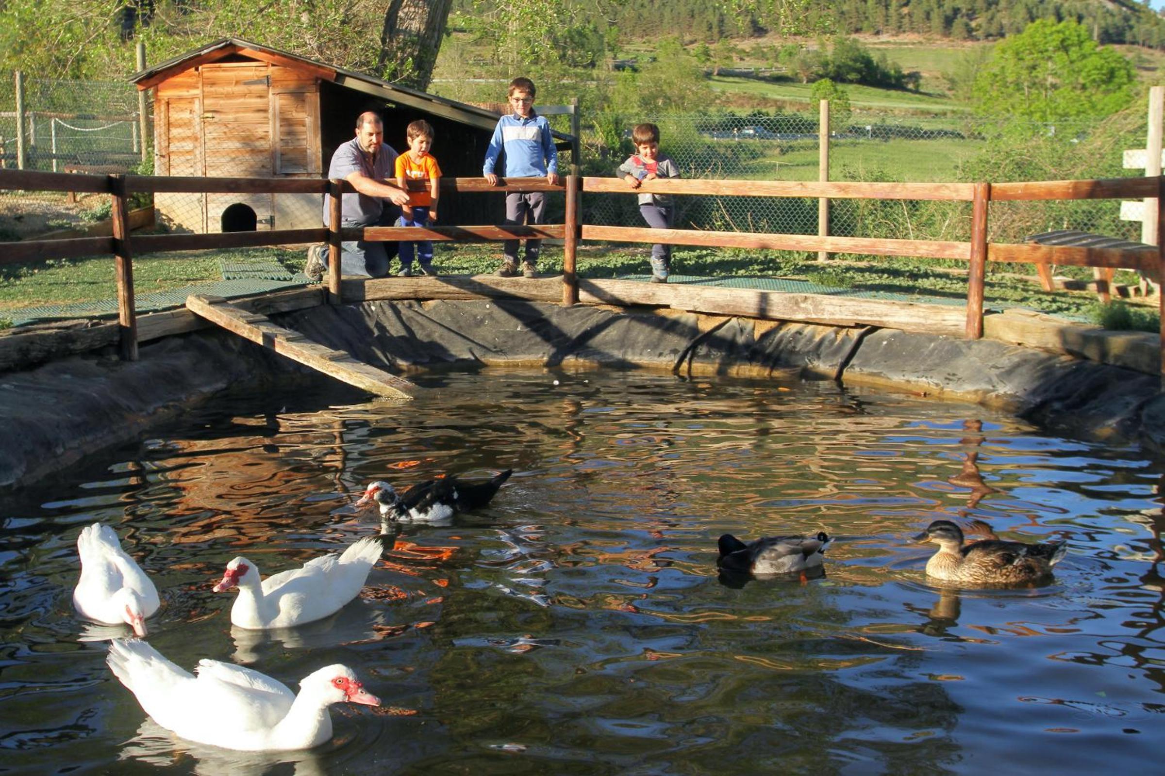 Cerdanya Viva Ecoestades