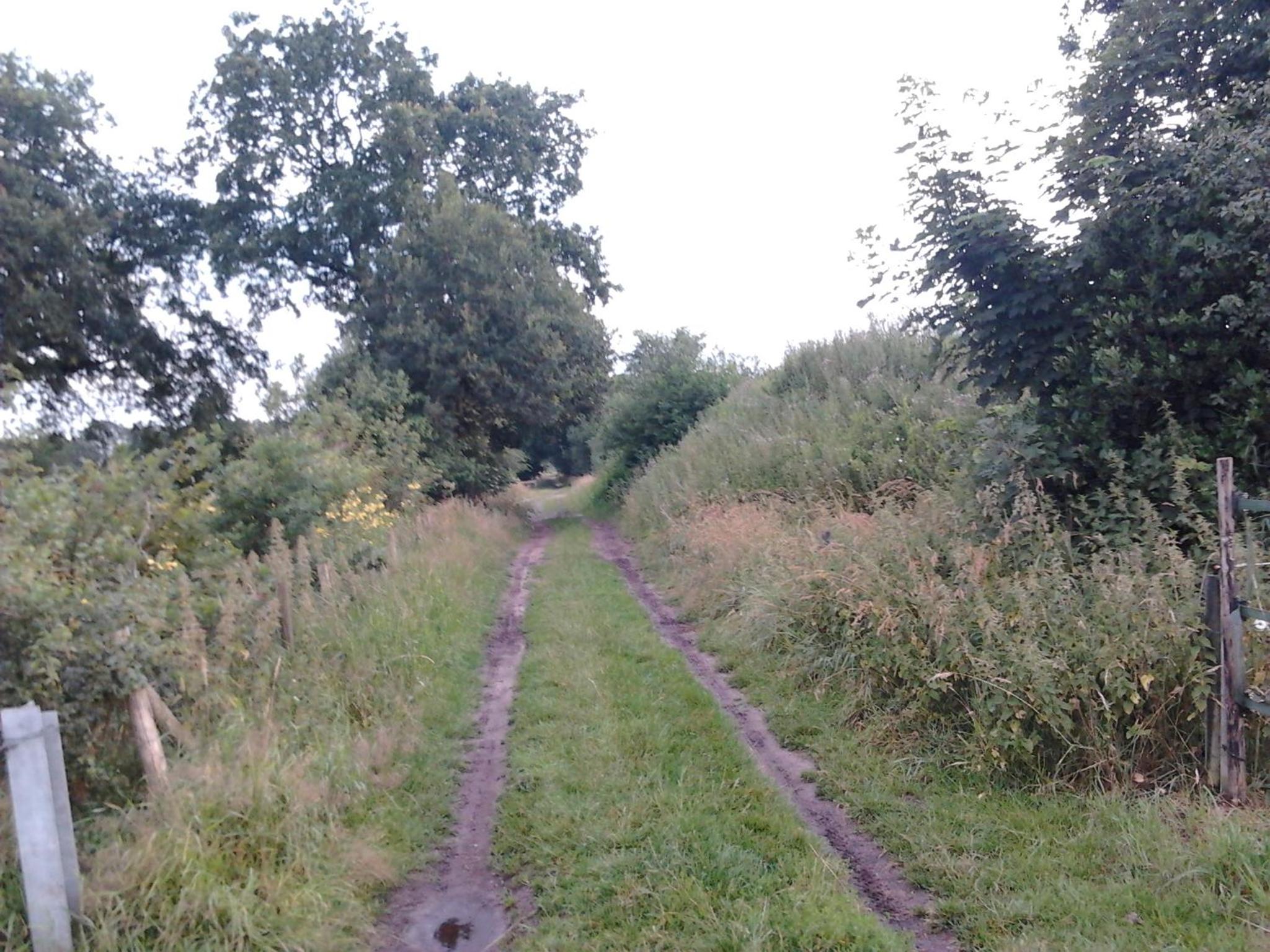 Photo 30
