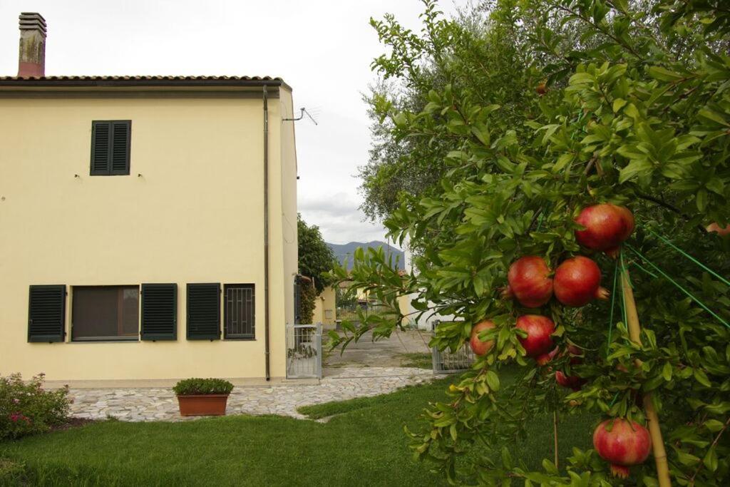 Il giardino di Otto photo 5