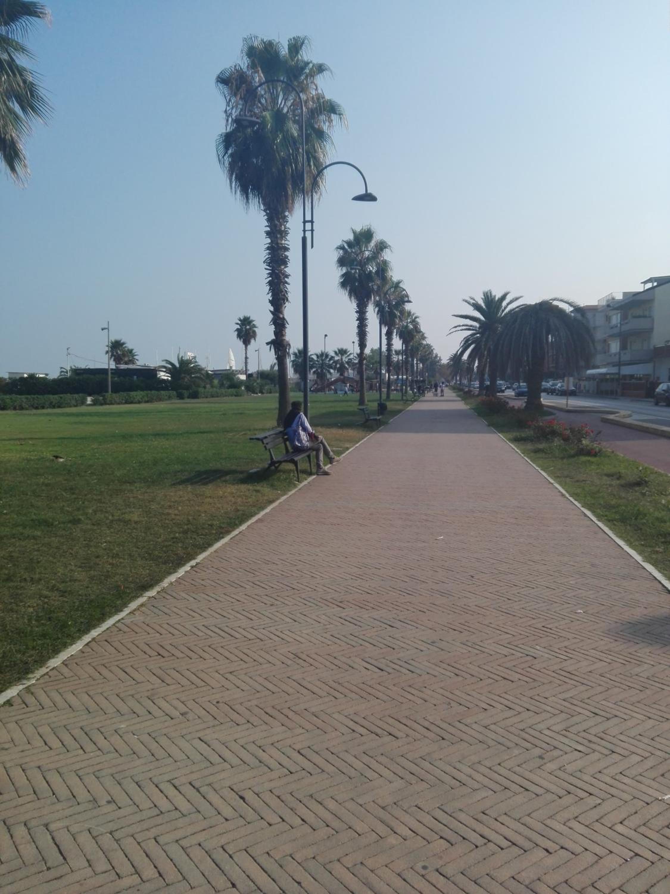Photo 46