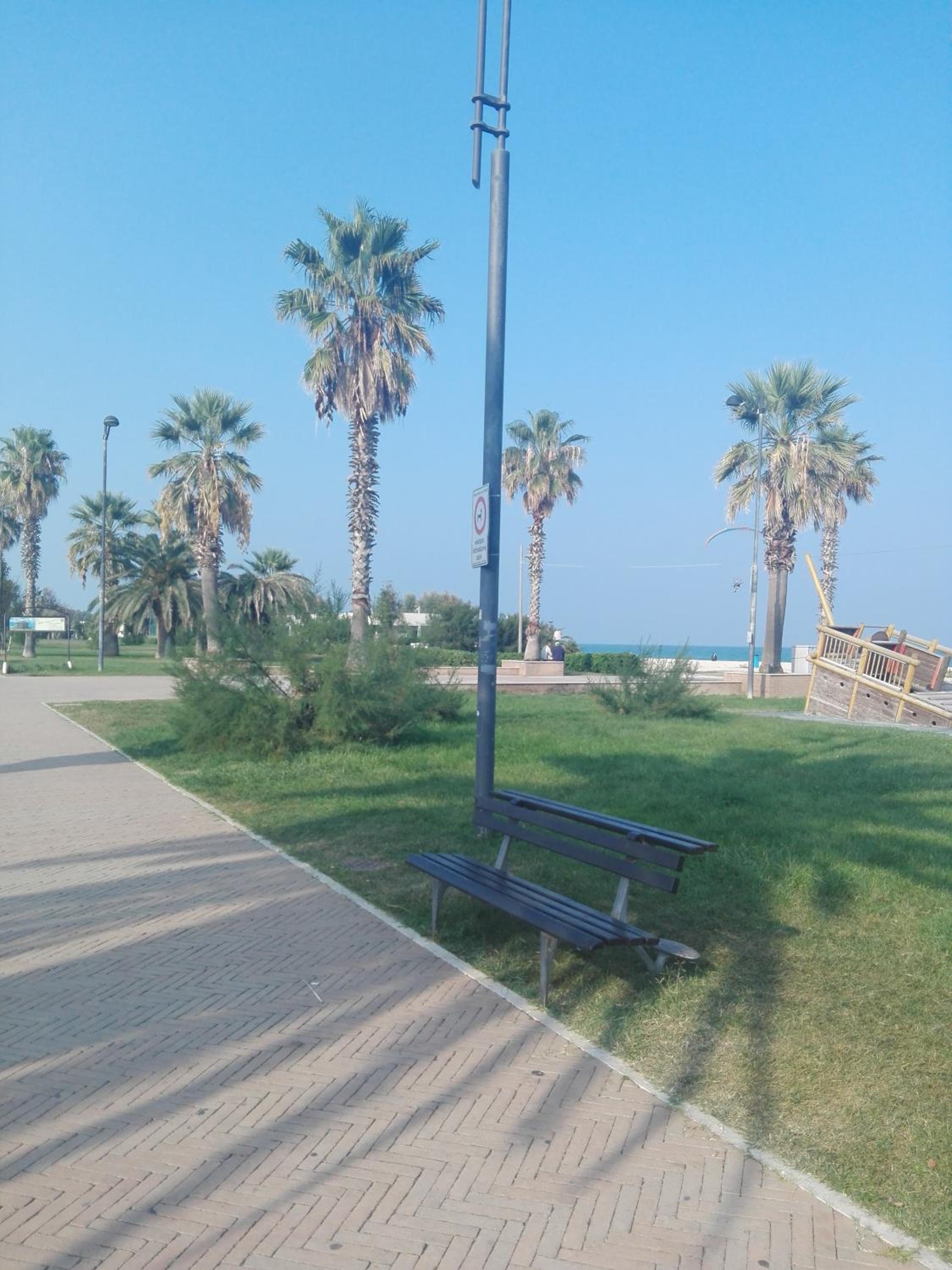 Photo 45