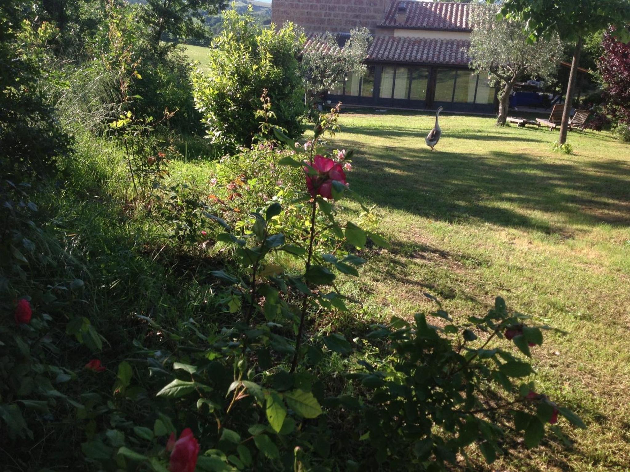 other