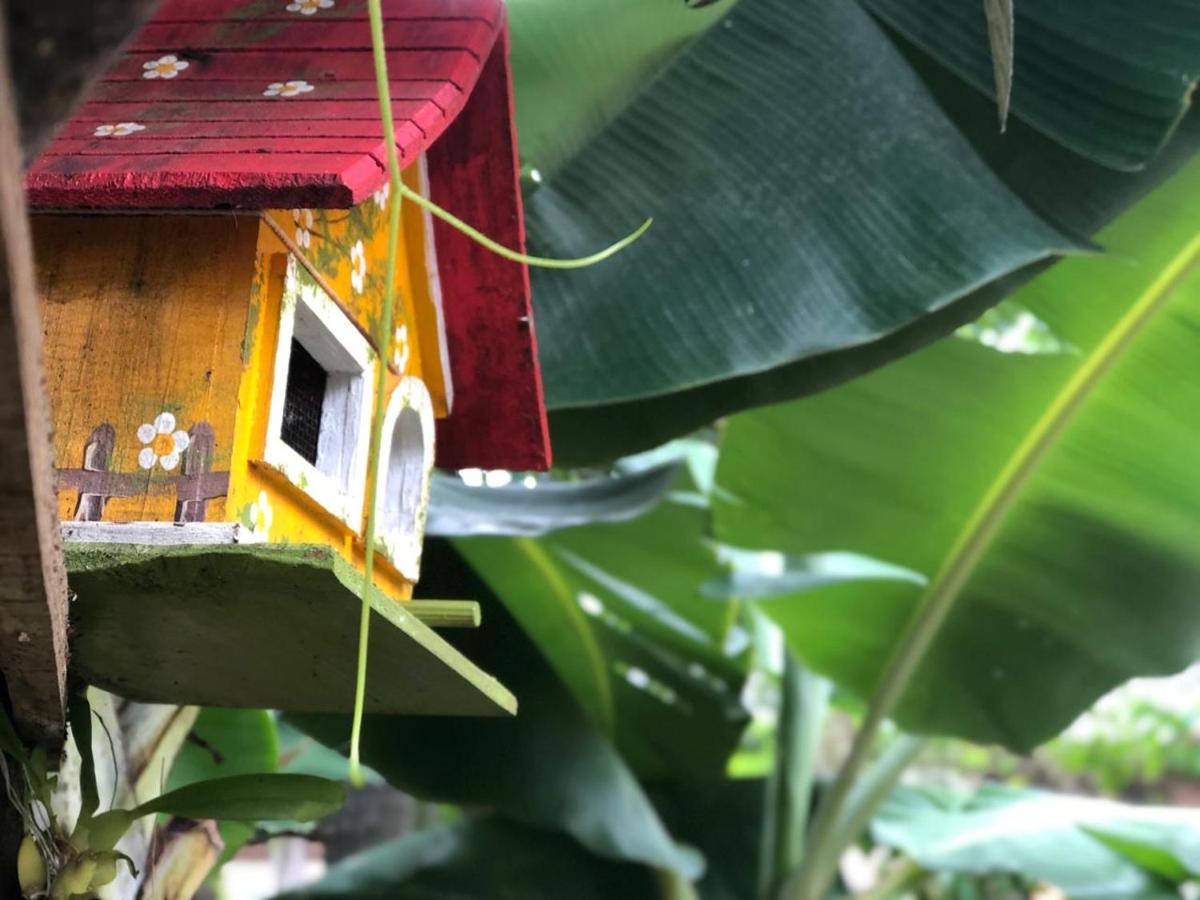 Floripa Guest House