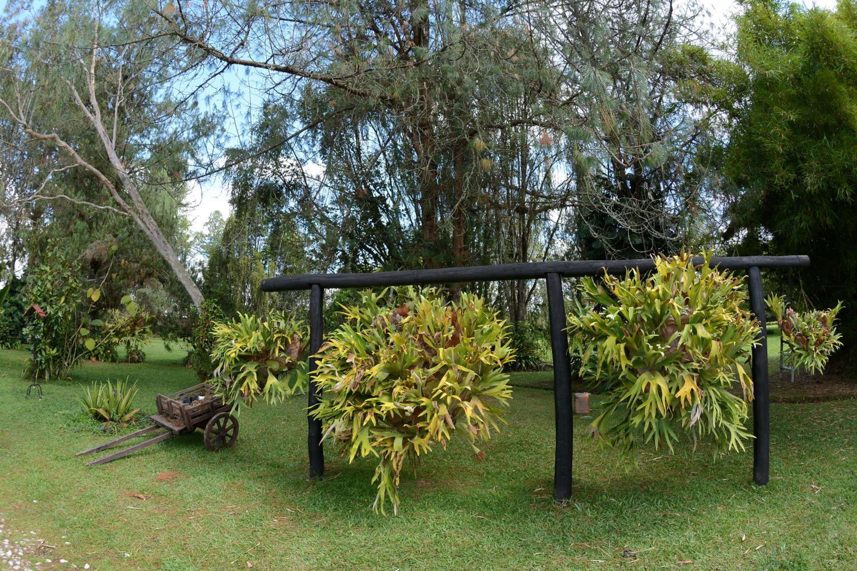 Casa Finca Corales Llano Grande 1