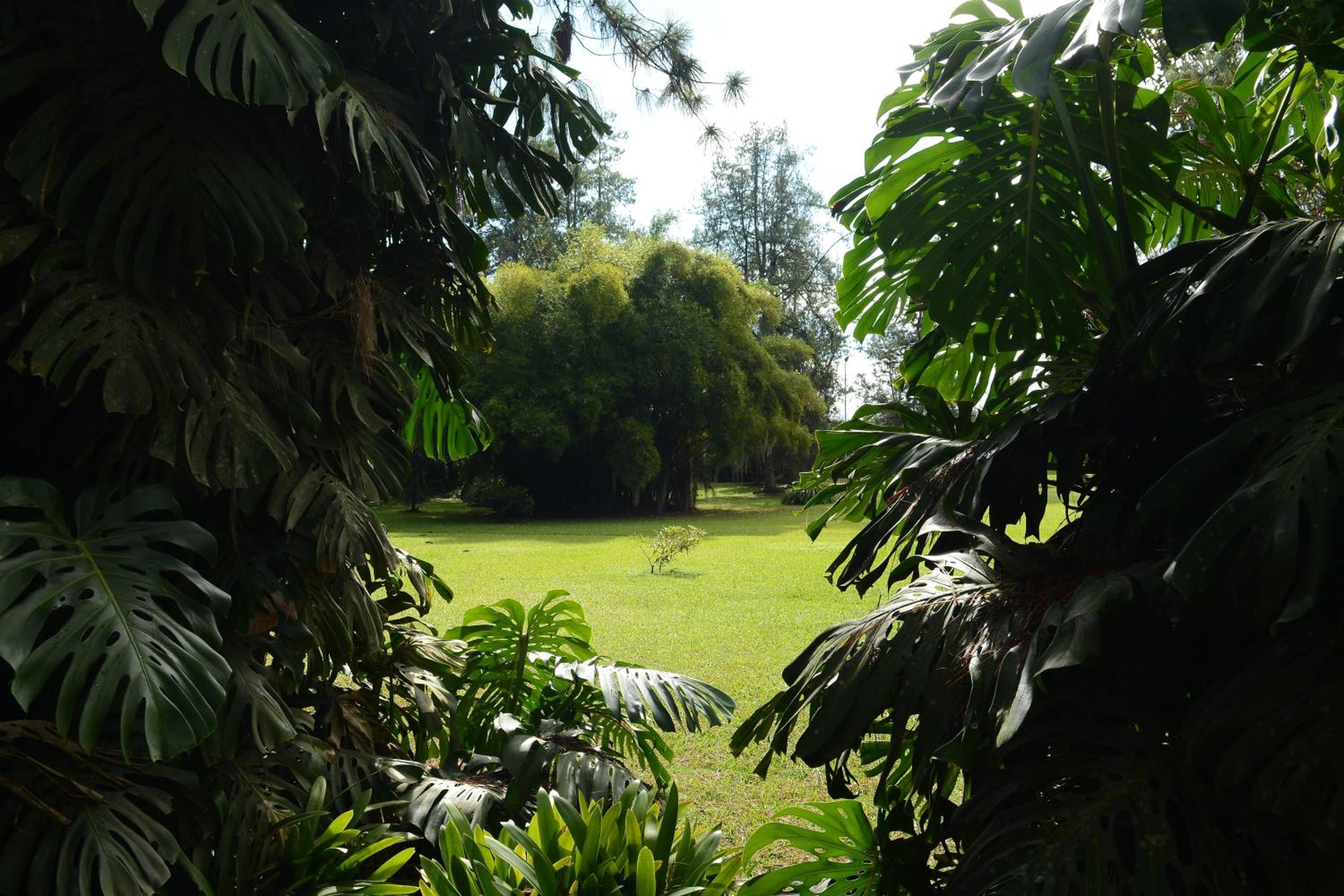 Casa Finca Corales Llano Grande 1