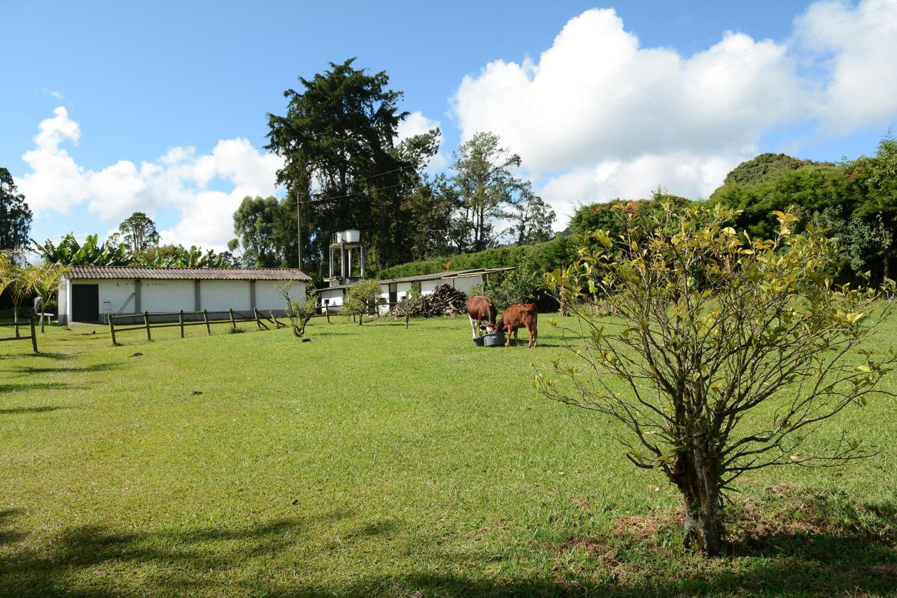 Casa Finca Corales Llano Grande 1