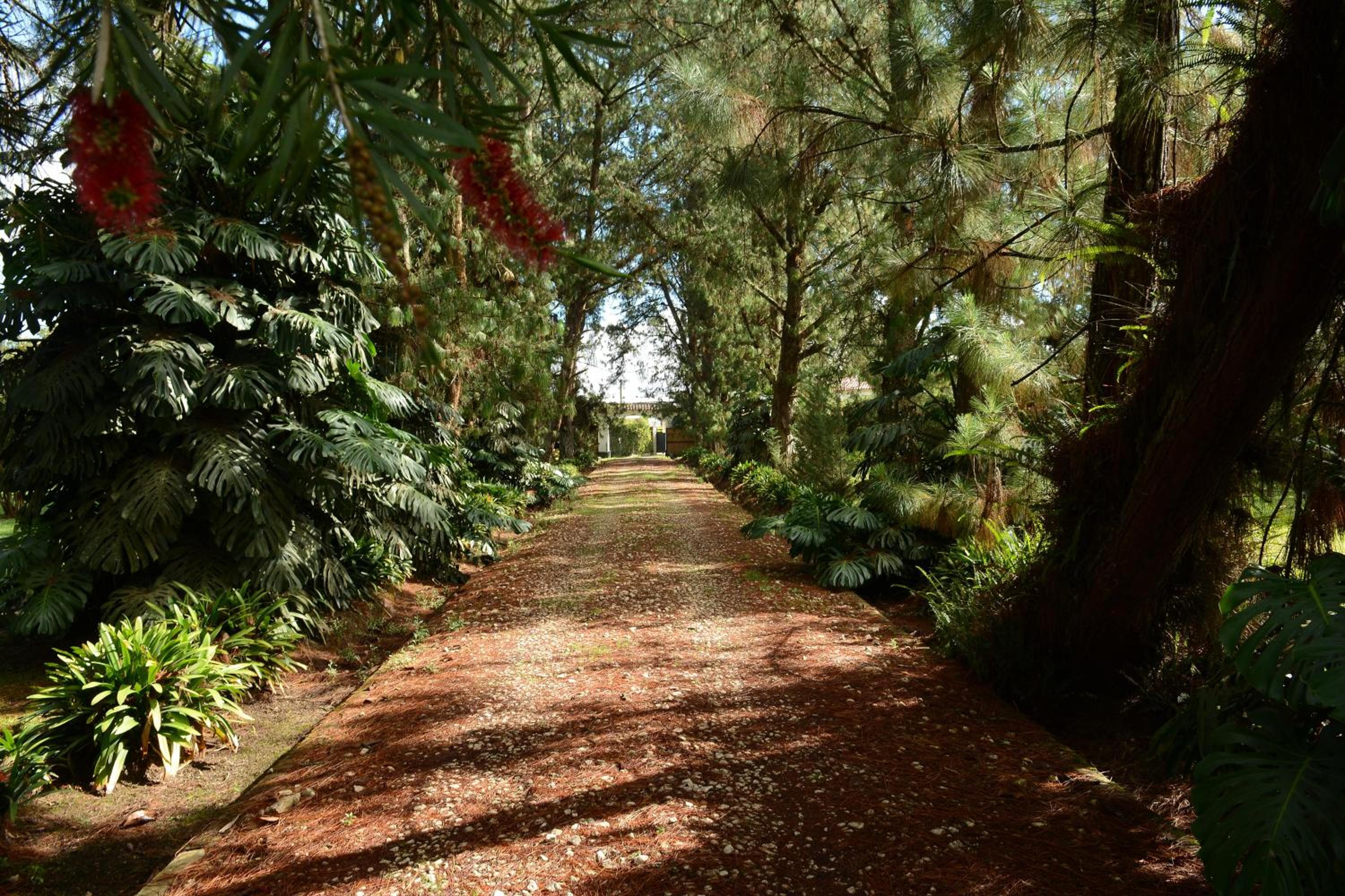 Casa Finca Corales Llano Grande 1