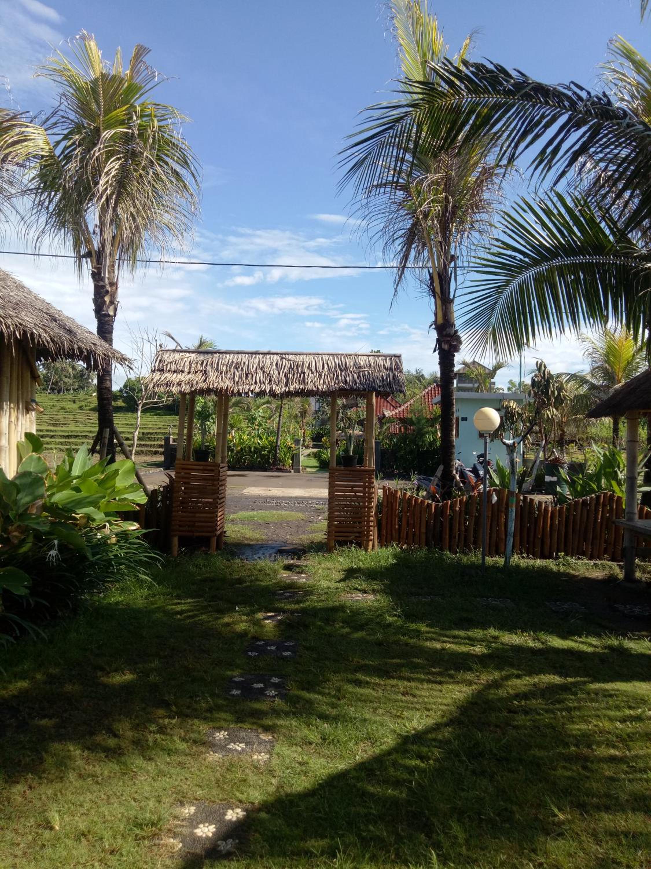 Photo 42