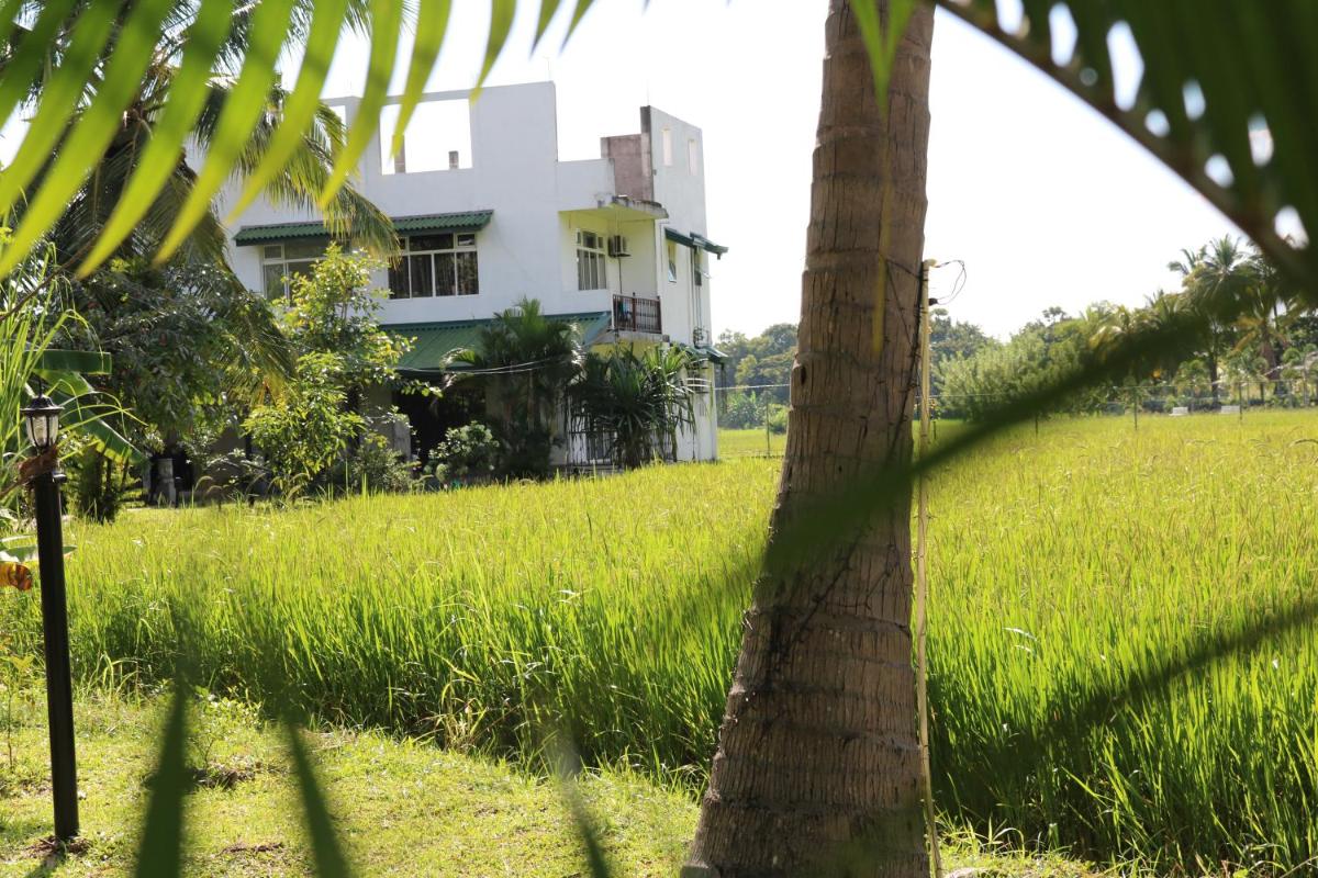 Manel Guest House view 5