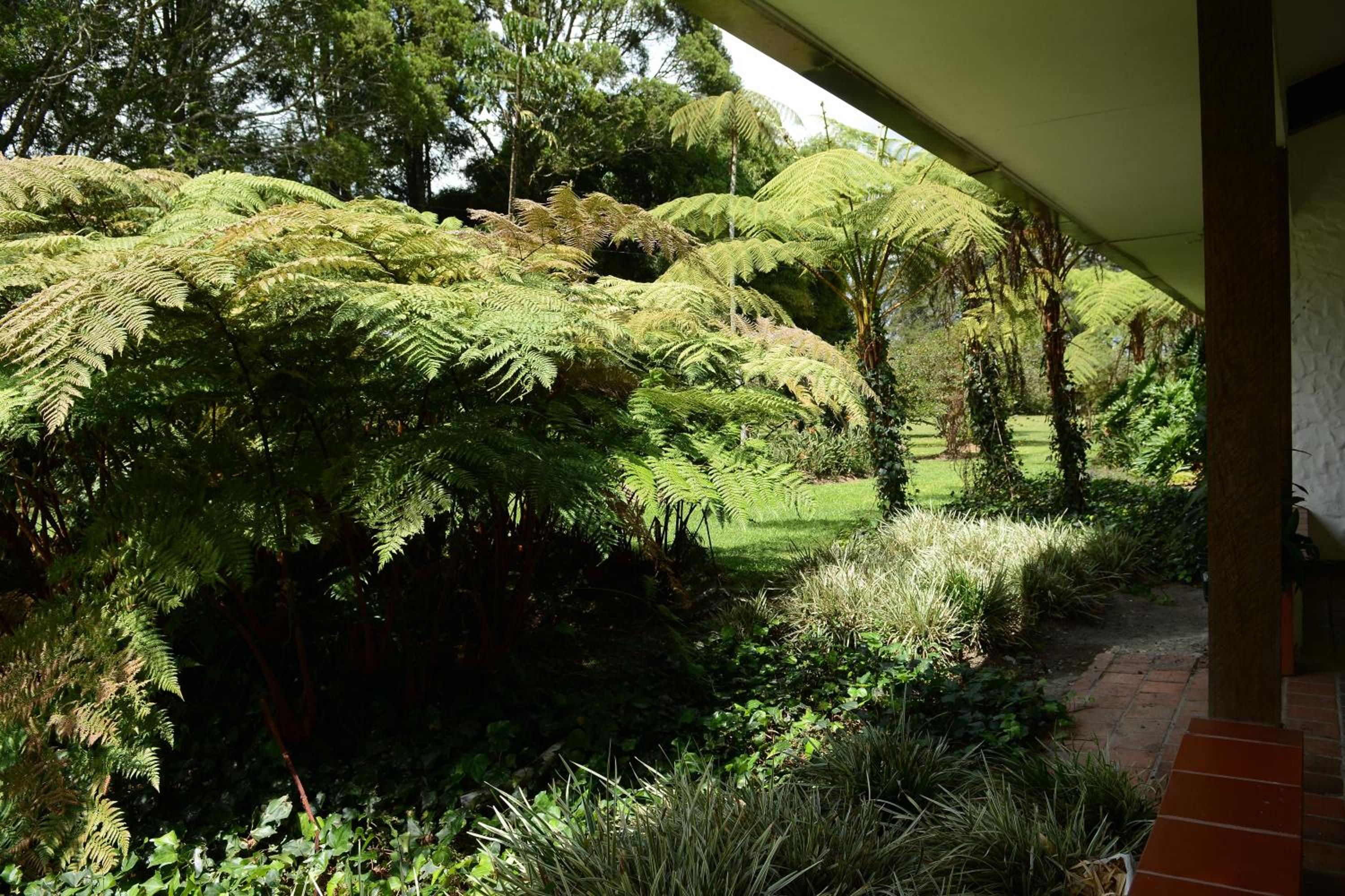 Casa Finca El Embrujo