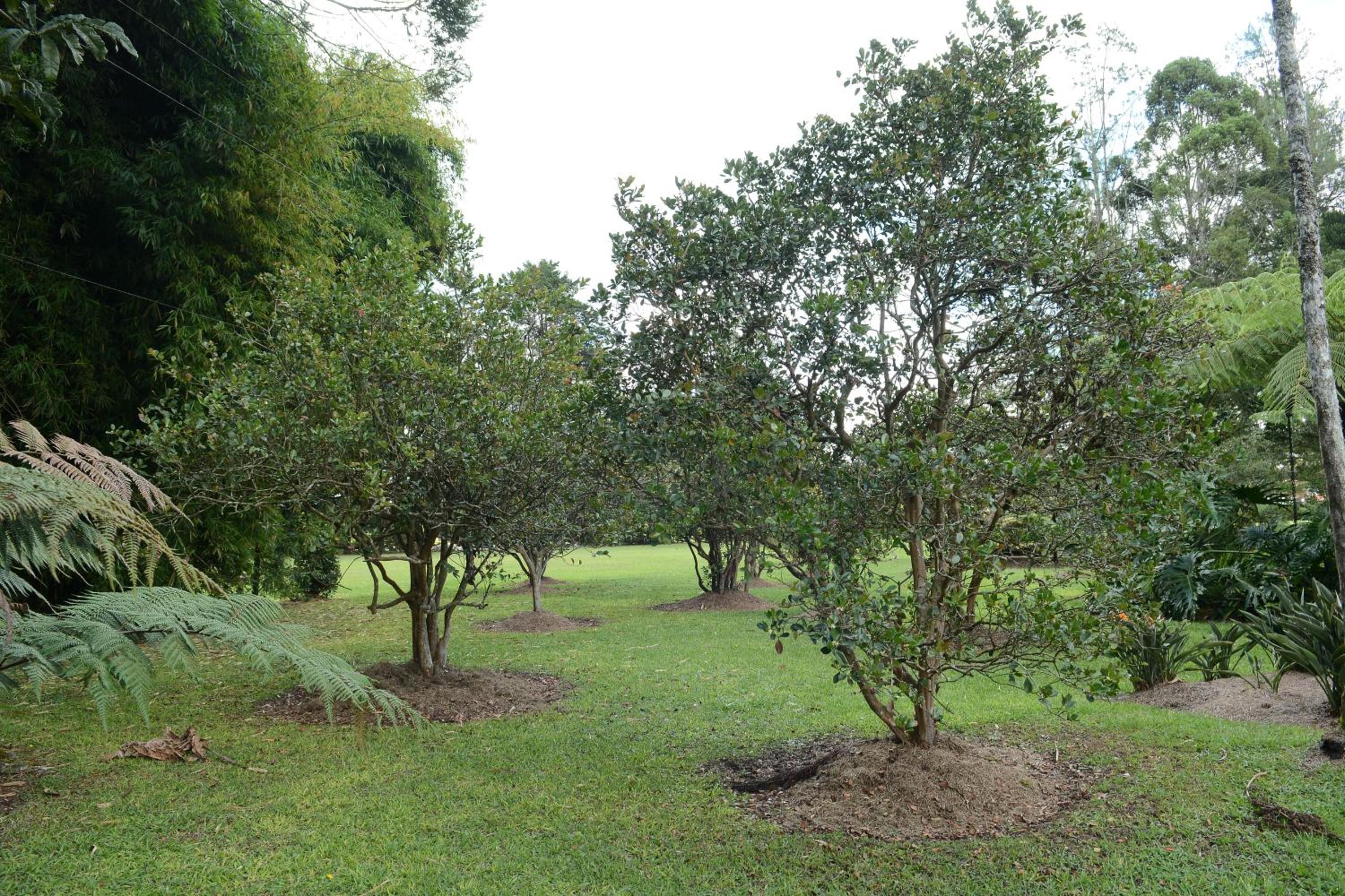 Casa Finca El Embrujo
