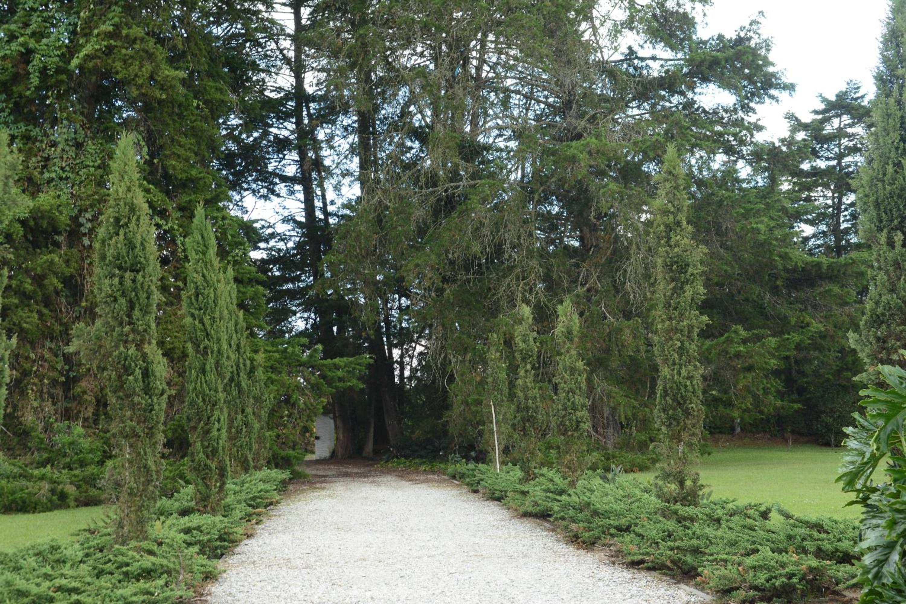 Casa Finca El Embrujo