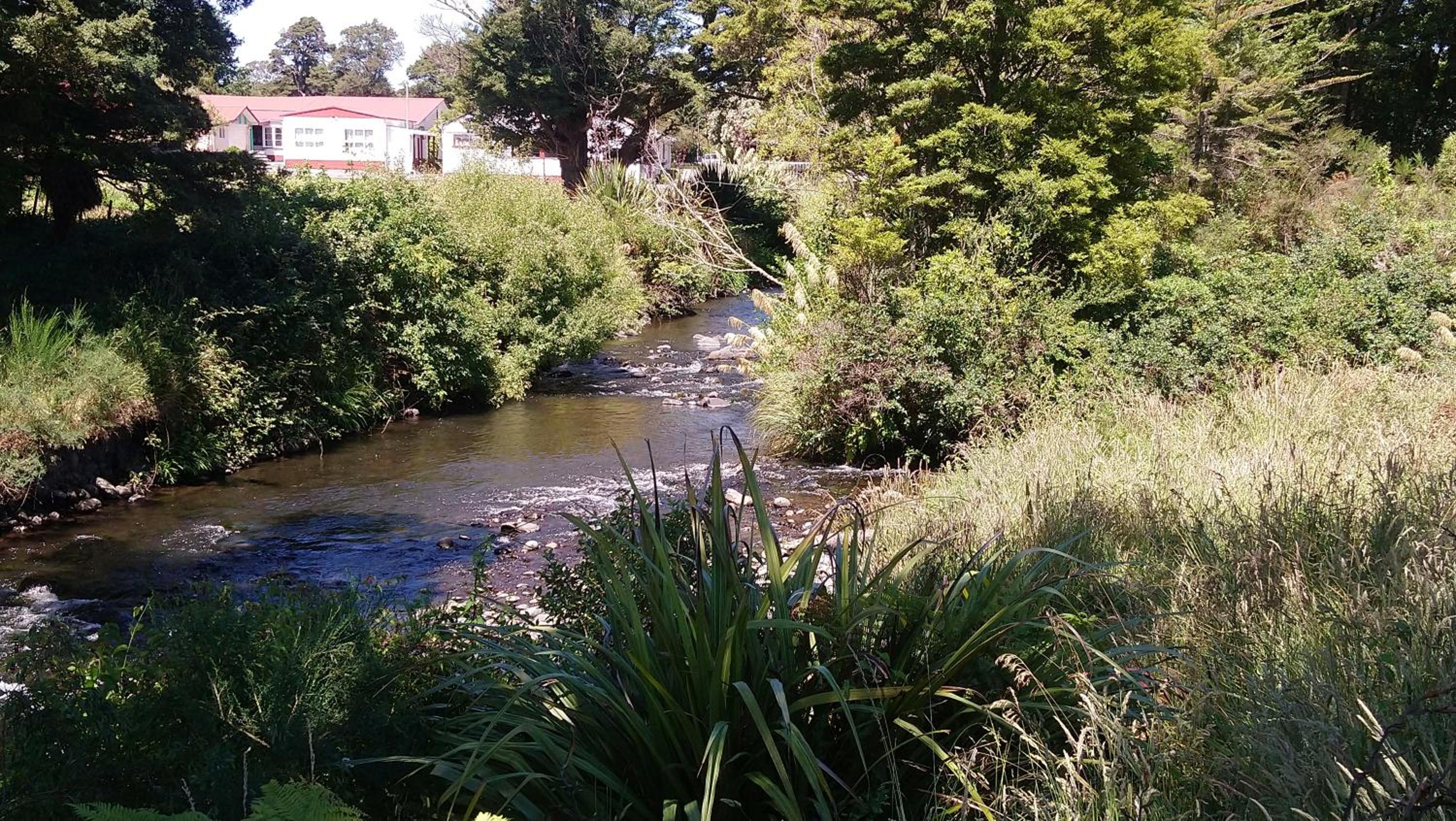 Photo 36