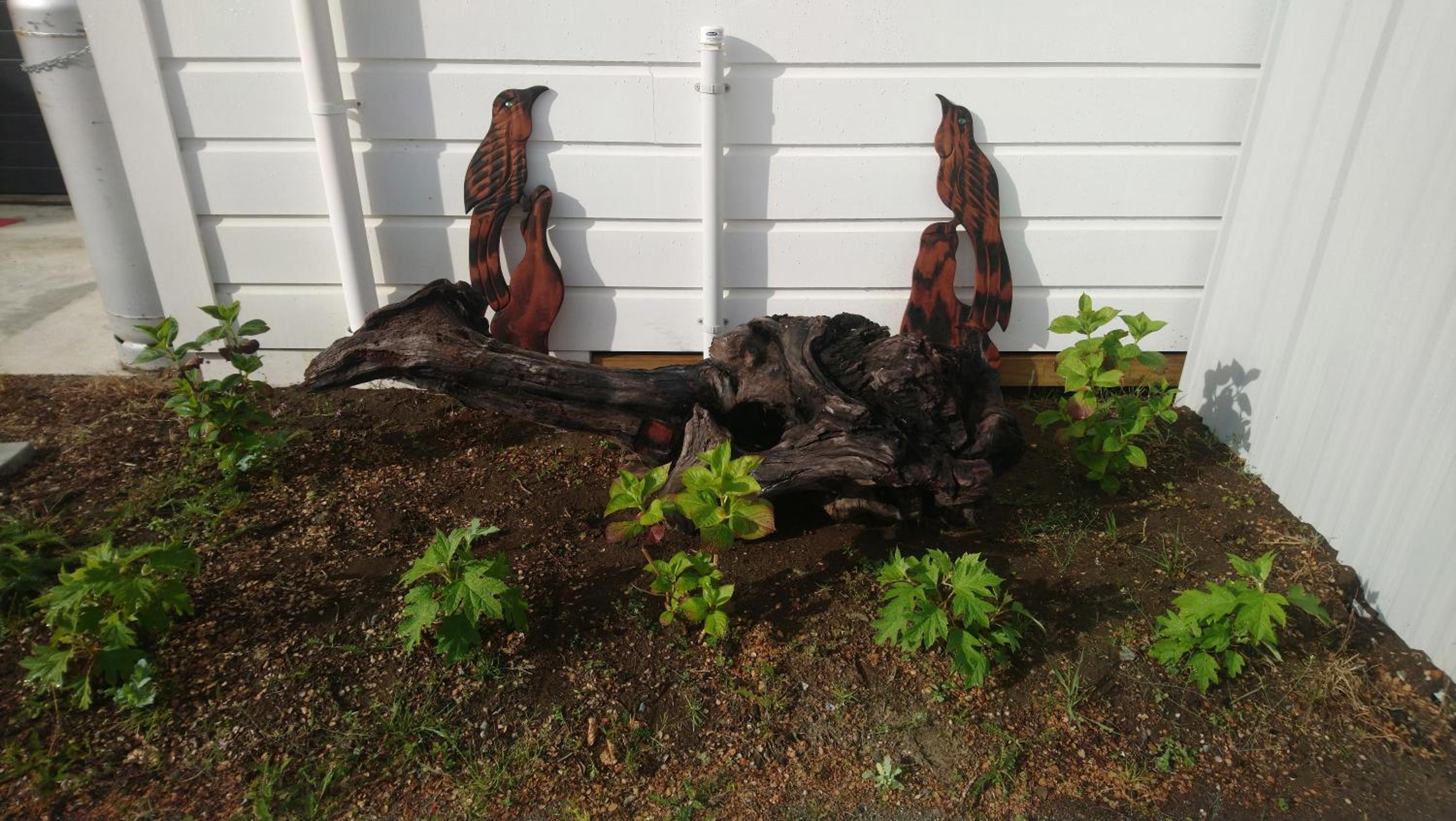 Photo 16
