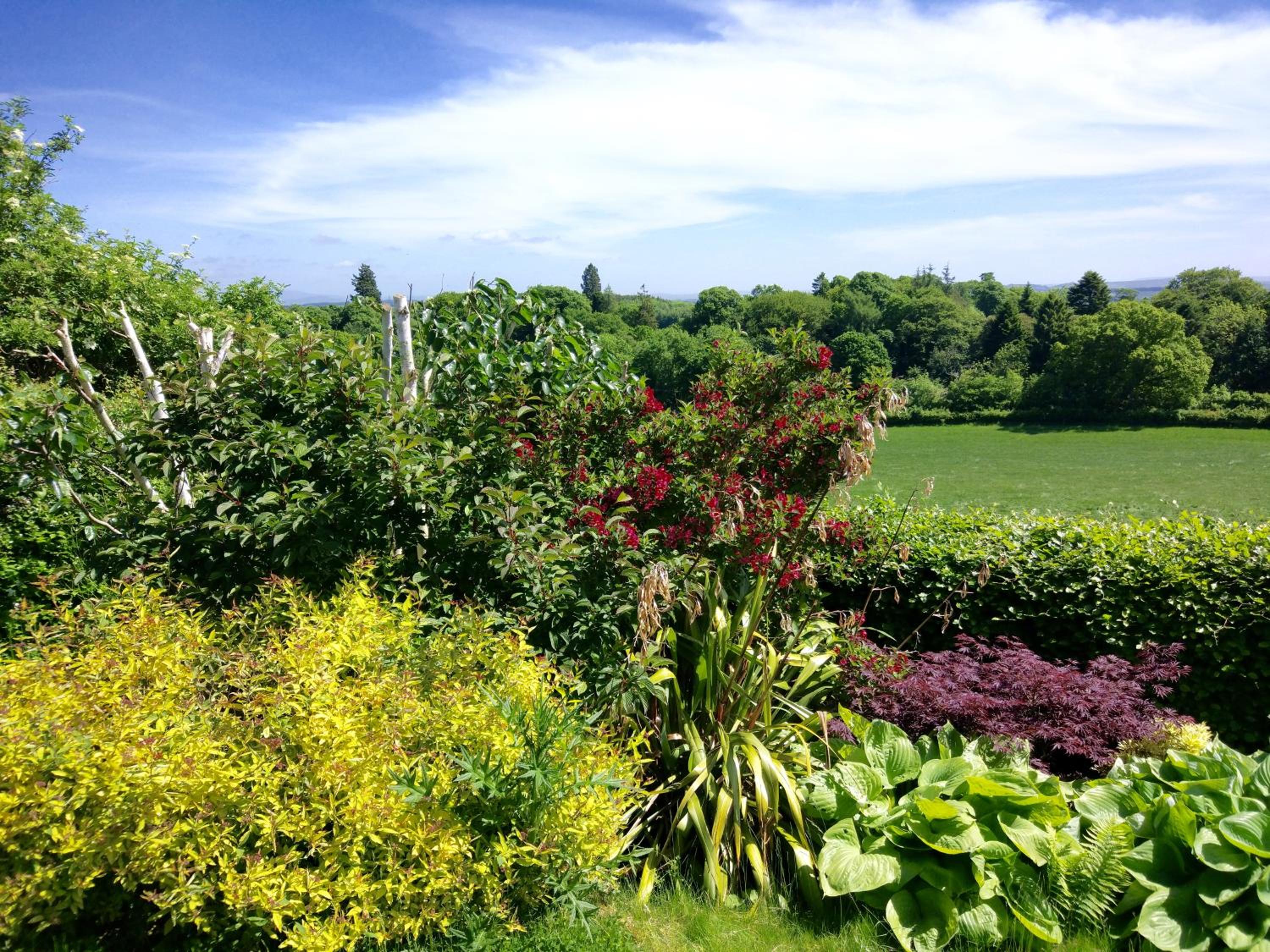 Bowden House B&B