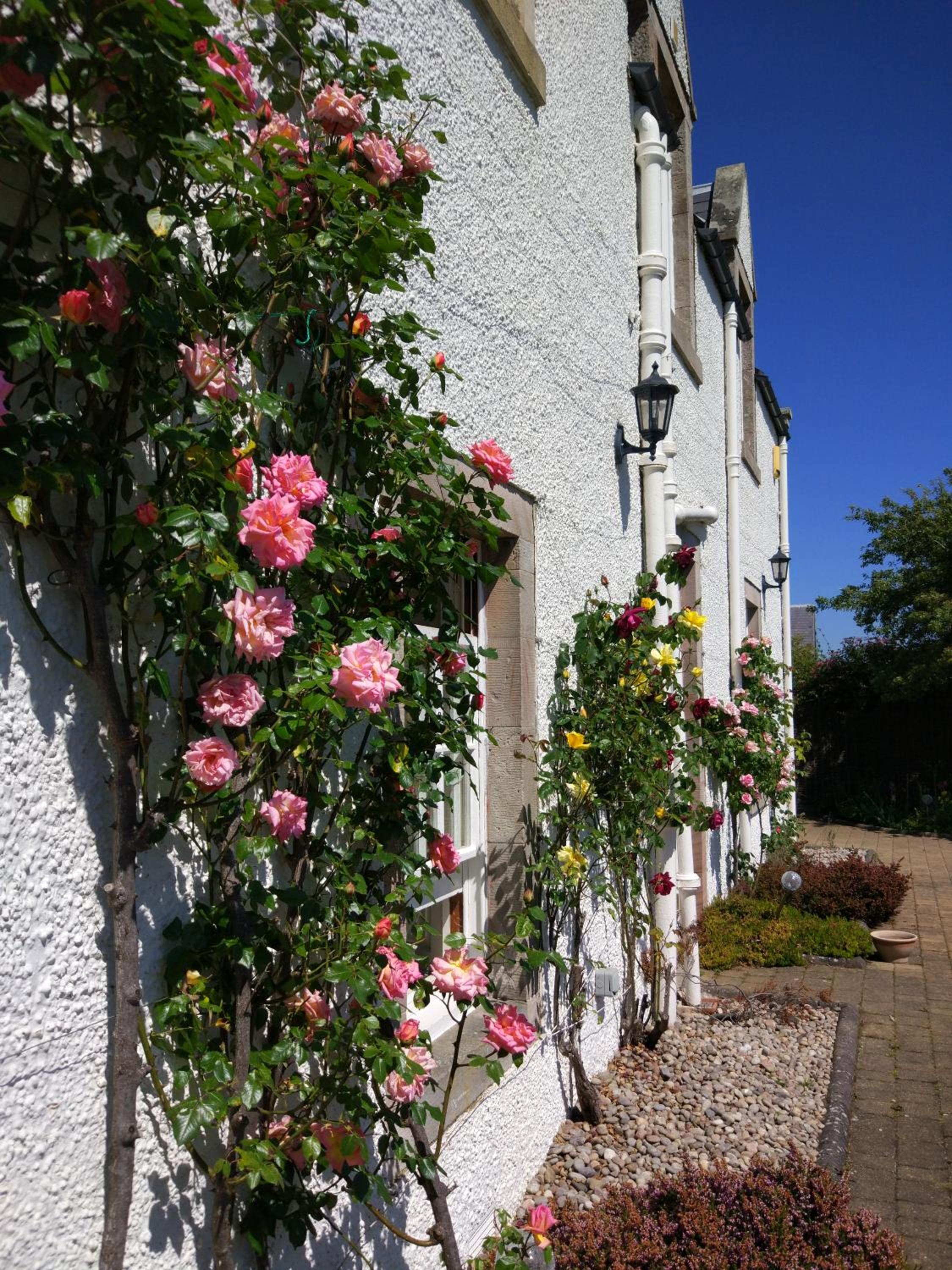 Bowden House B&B