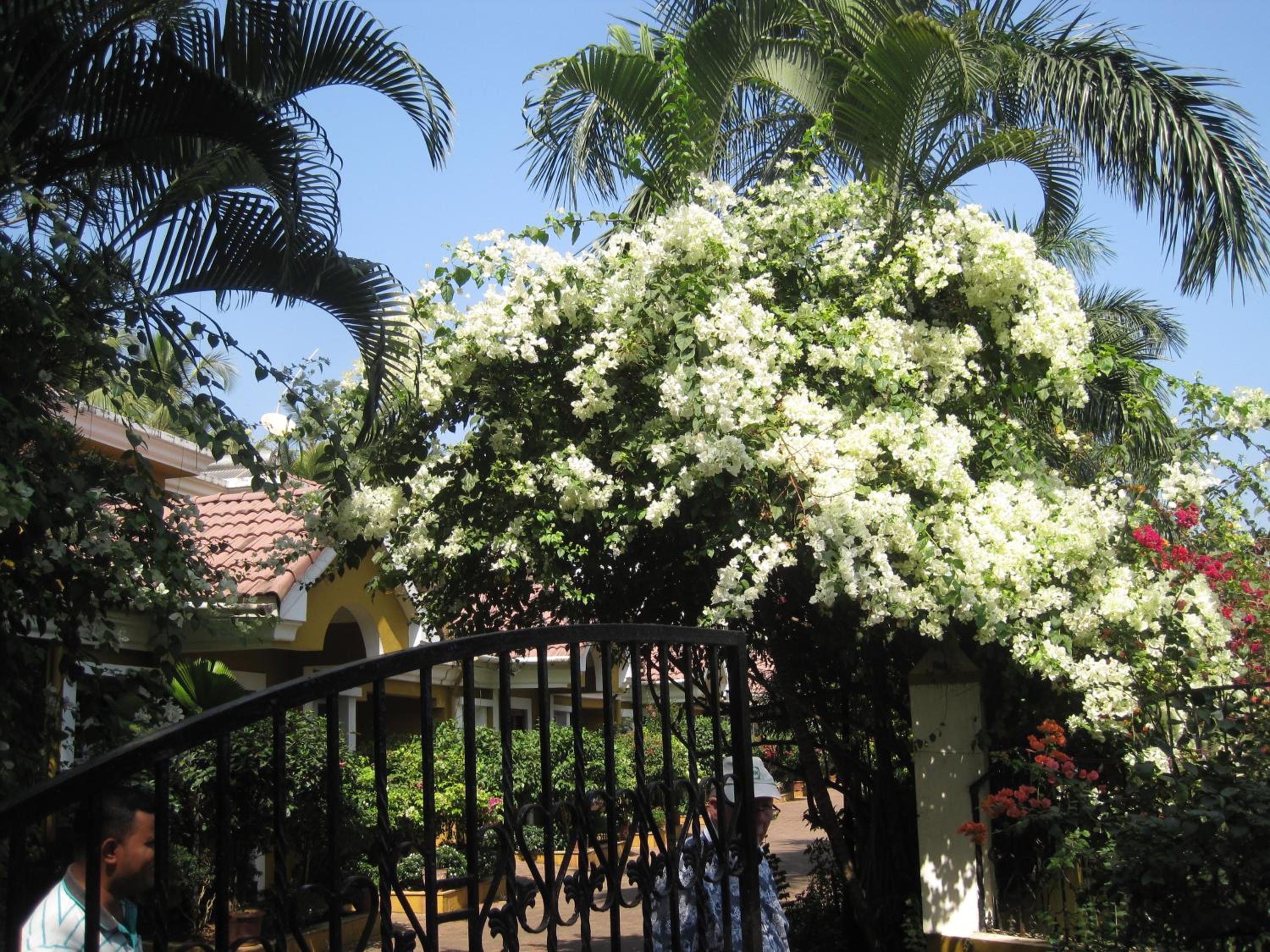 Boutique Villa, beach 10min, cook on request view 3