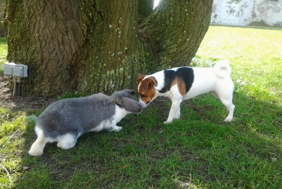 Photo 35
