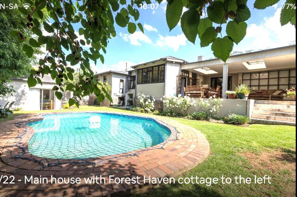 Forest Haven